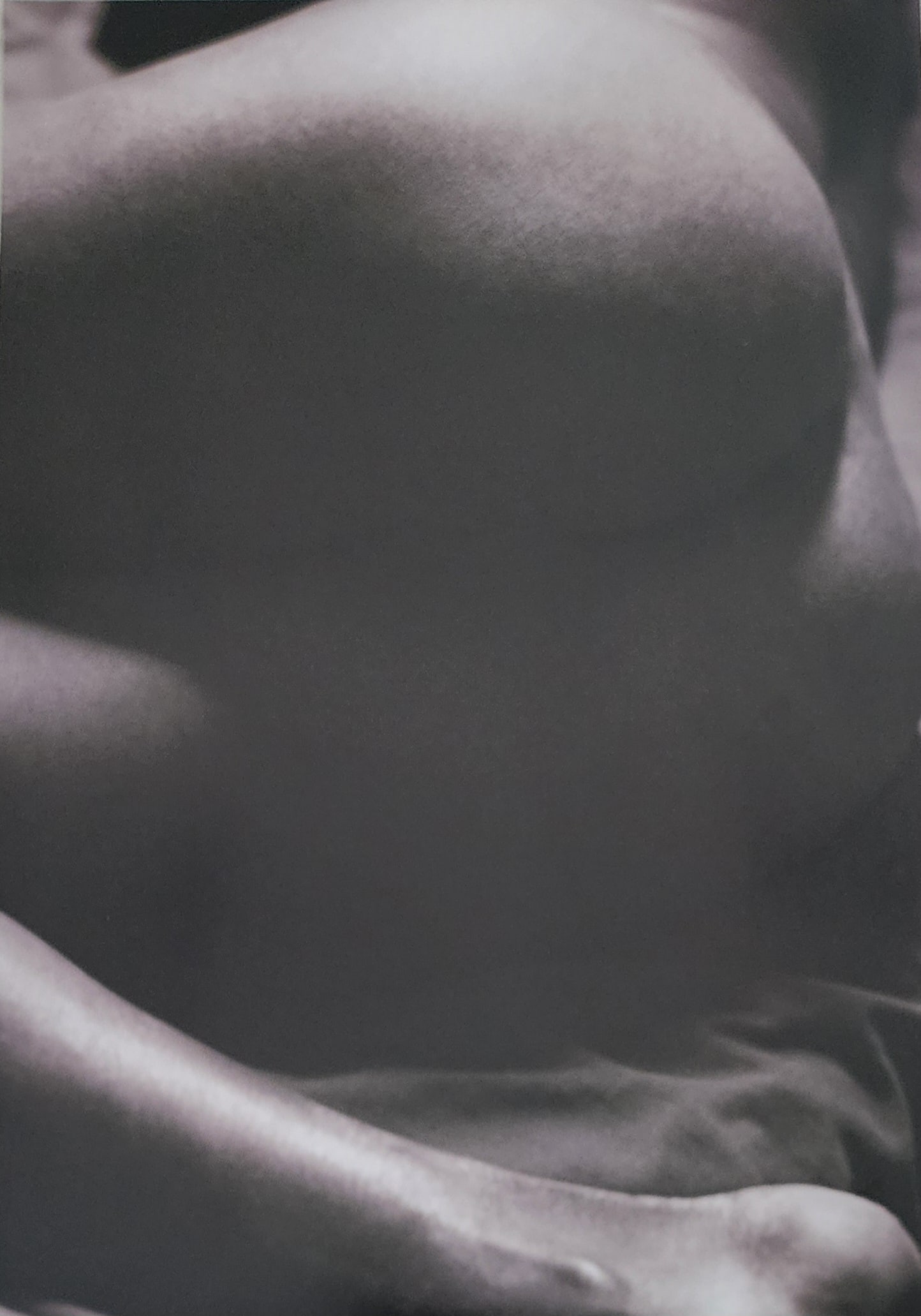 Alina Reyes, Nudes Female Model - 2005: Artist/Photographer: Alina Reyes Title/Subject: Nudes Female Model Type Of Print: Authentic Sheet Fed Photogravure/Heliogravure. Date Of Print: 2005 Paper: Medium weight, satin/matte finish. Print Ori