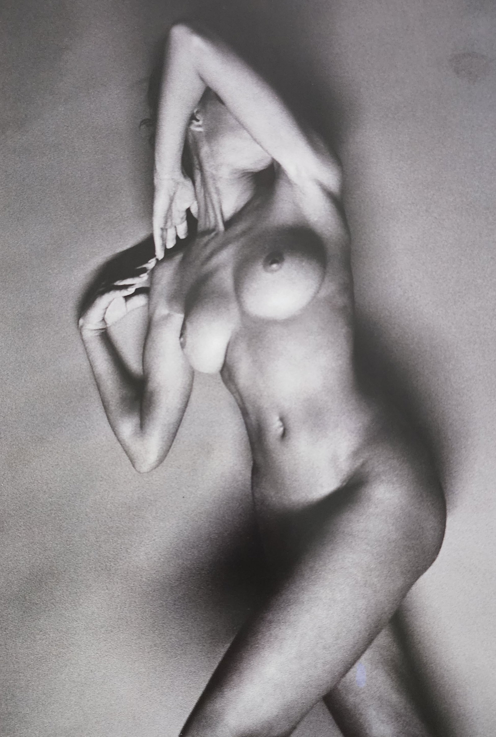 Alina Reyes, Nudes Female Model - 2005: Artist/Photographer: Alina Reyes Title/Subject: Nudes Female Model Type Of Print: Authentic Sheet Fed Photogravure/Heliogravure. Date Of Print: 2005 Paper: Medium weight, satin/matte finish. Print Ori