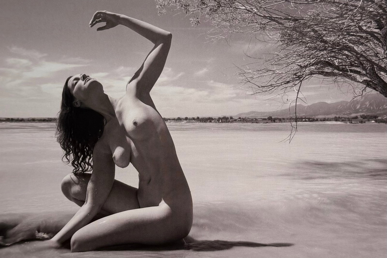 Allen Birnbach, Best nude contemporary, 2019: Artist/Photographer: Allen Birnbach Title/Subject: , Best nude contemporary Type Of Print: Authentic Sheet Fed Photogravure/Heliogravure. Date Of Print: 2019 Paper: Medium weight, satin/matte finish. 