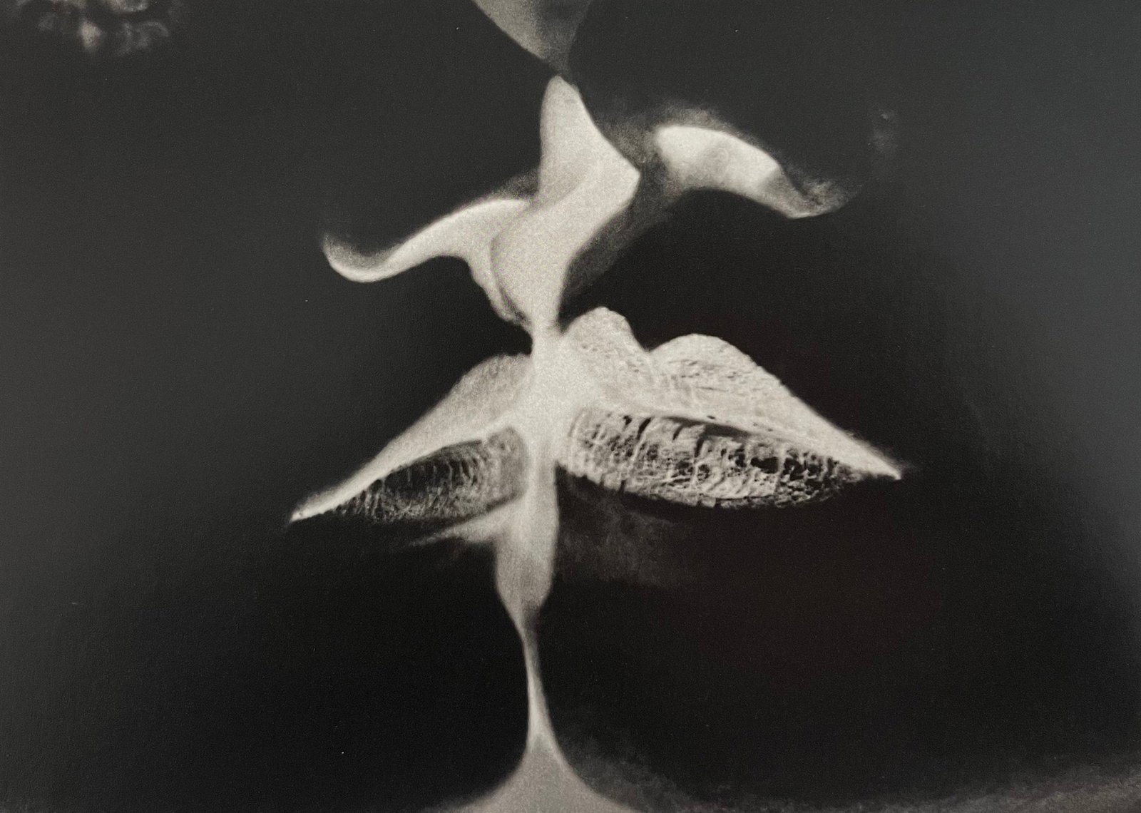 Man Ray, My best works, 2000: Photographer: Man Ray (American born, 1890 - 1976) - Considered one of the most influential artists of the 20th century Man Ray lived most of his life in Paris, France. Best described as a modernist, 
