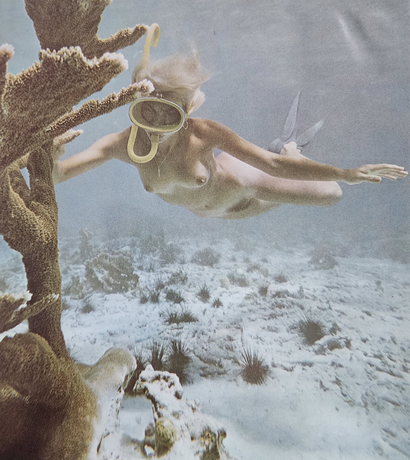 Tody Mitchell, Fantasy, 1999 (1 of 1)