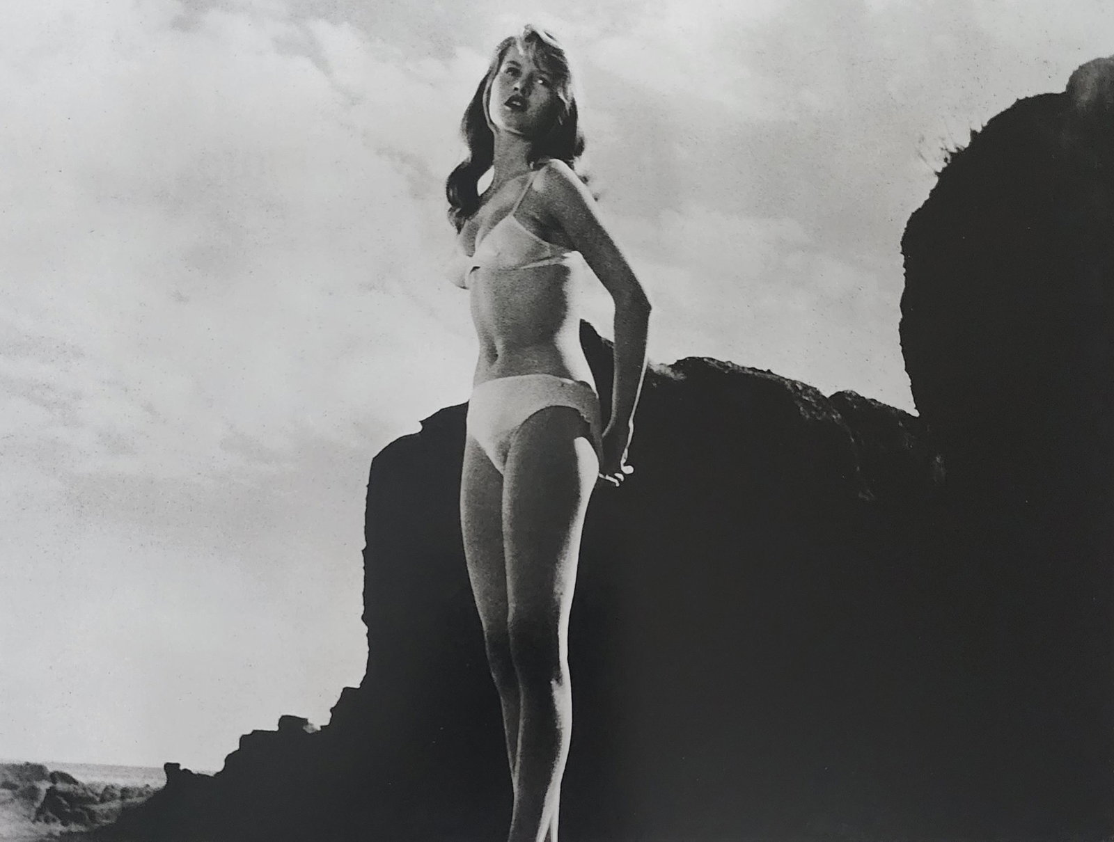 Brigitte Bardot, Beautiful Forever, 2014: Model: Brigitte Anne-Marie Bardot, born September 28, 1934, is a former French actress, model, singer, and animal rights activist. A major sex symbol of the 1950s and 1960s, she was known for playing 