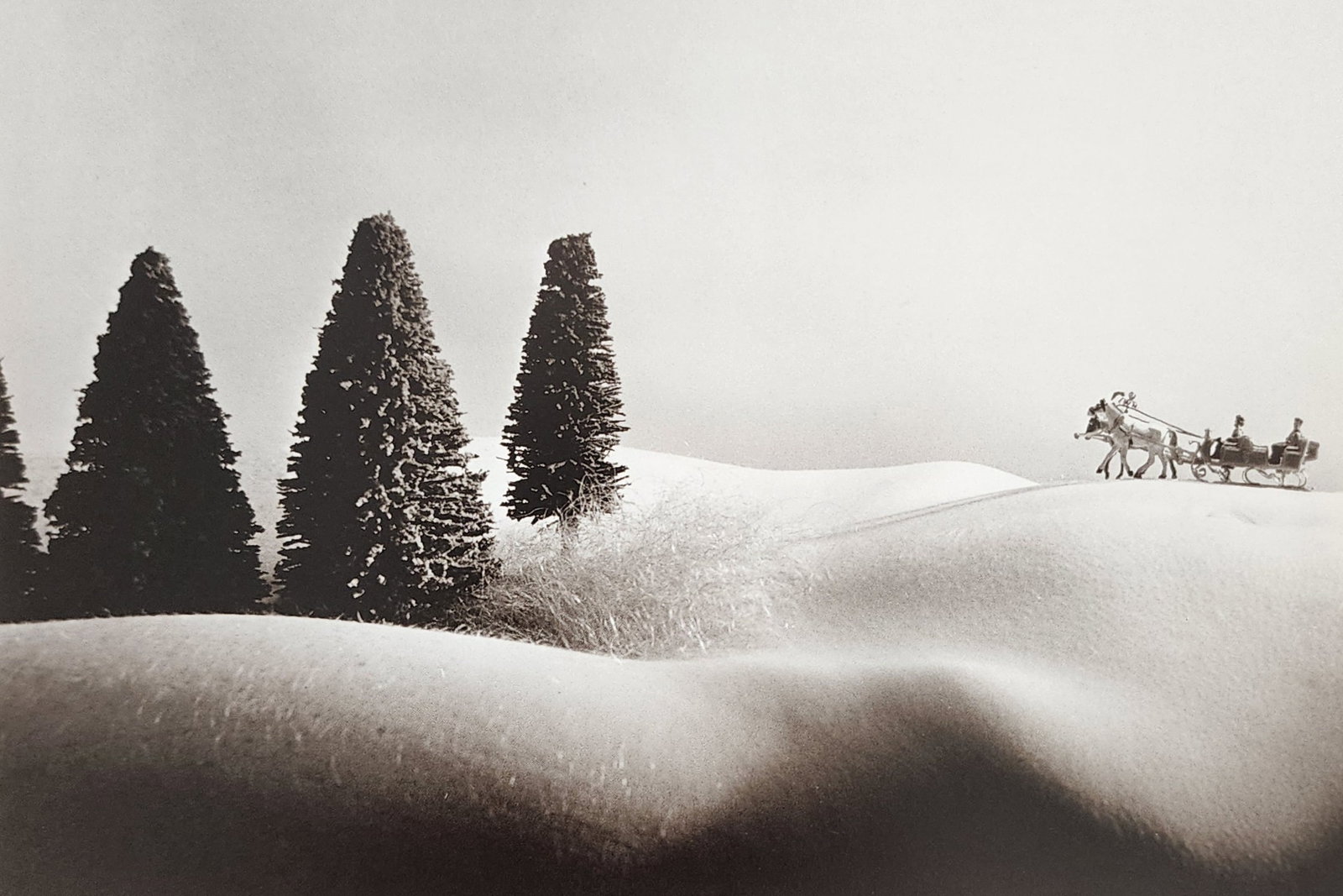 Allan Teger 'Body fantasy' 1995: Artist/Photographer: Allan I. Teger Title/Subject: Bodyscapes I (1st Edition) Type Of Print: Authentic Sheet Fed Photogravure/Heliogravure. Date Of Print: 1995 Paper: Medium weight, satin/matte finish