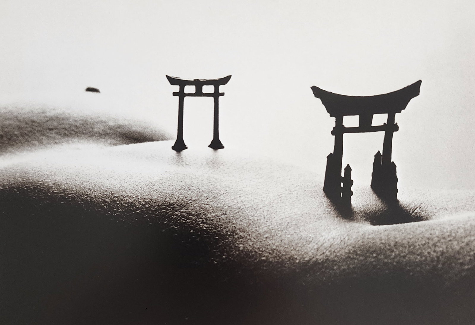 Allan Teger 'Body fantasy' 1995: Artist/Photographer: Allan I. Teger Title/Subject: Bodyscapes I (1st Edition) Type Of Print: Authentic Sheet Fed Photogravure/Heliogravure. Date Of Print: 1995 Paper: Medium weight, satin/matte finish