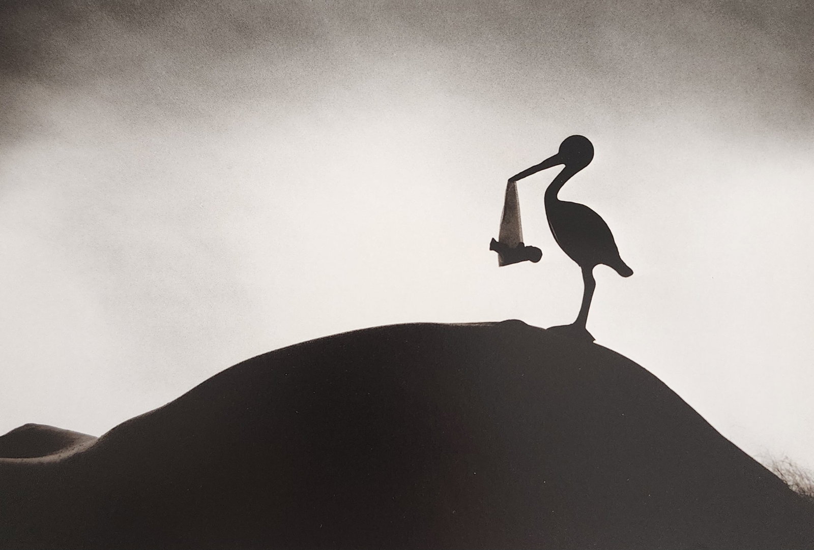 Allan Teger 'Body fantasy' 1995: Artist/Photographer: Allan I. Teger Title/Subject: Bodyscapes I (1st Edition) Type Of Print: Authentic Sheet Fed Photogravure/Heliogravure. Date Of Print: 1995 Paper: Medium weight, satin/matte finish