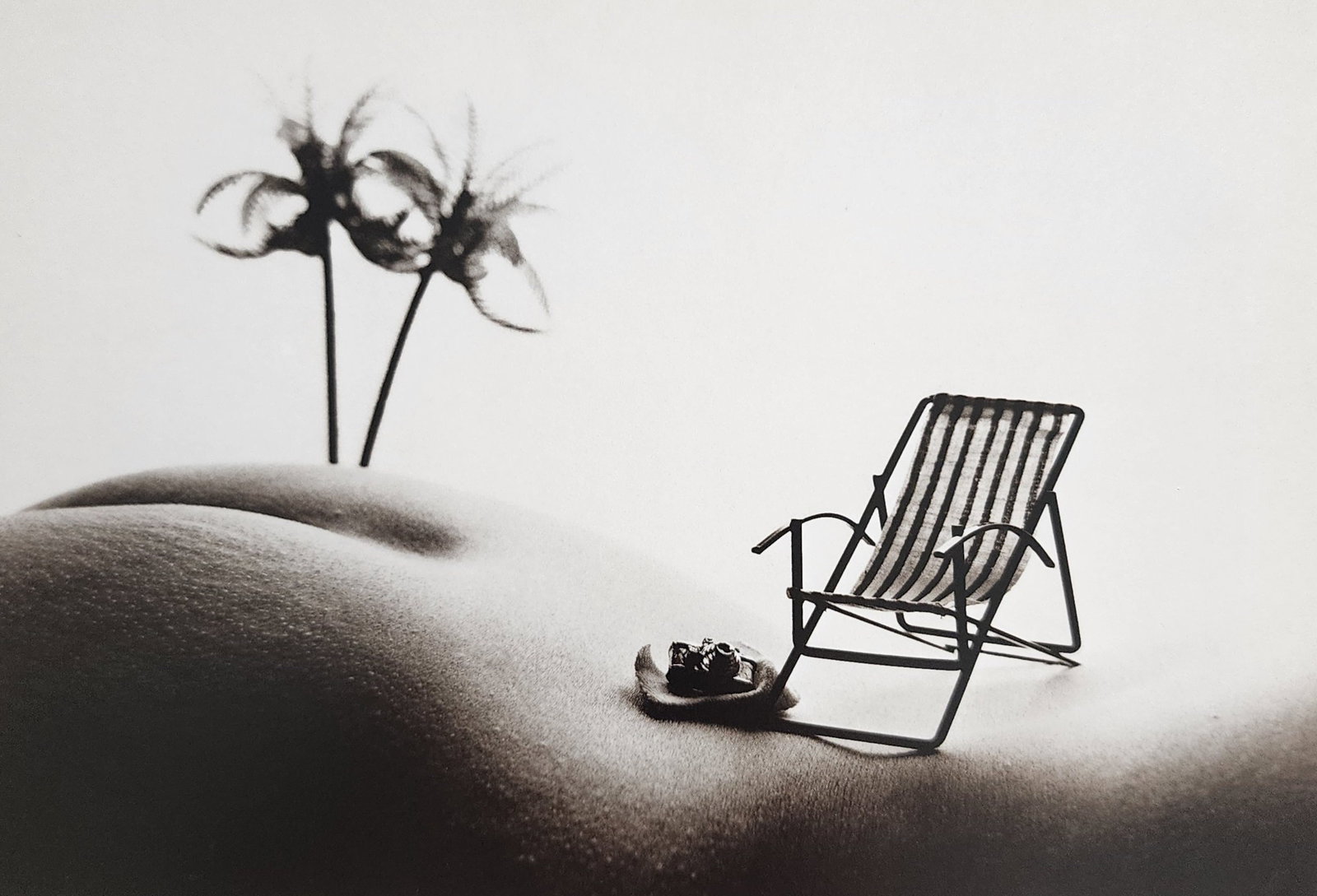 Allan Teger 'Body fantasy' 1995: Artist/Photographer: Allan I. Teger Title/Subject: Bodyscapes I (1st Edition) Type Of Print: Authentic Sheet Fed Photogravure/Heliogravure. Date Of Print: 1995 Paper: Medium weight, satin/matte finish