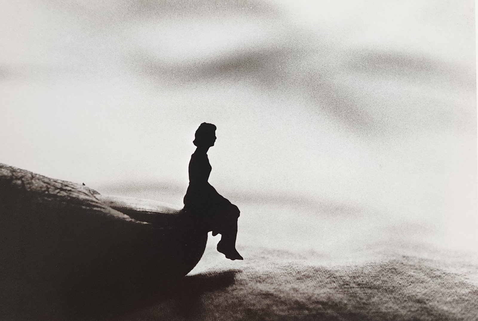 Allan Teger 'Body fantasy' 1995: Artist/Photographer: Allan I. Teger Title/Subject: Bodyscapes I (1st Edition) Type Of Print: Authentic Sheet Fed Photogravure/Heliogravure. Date Of Print: 1995 Paper: Medium weight, satin/matte finish