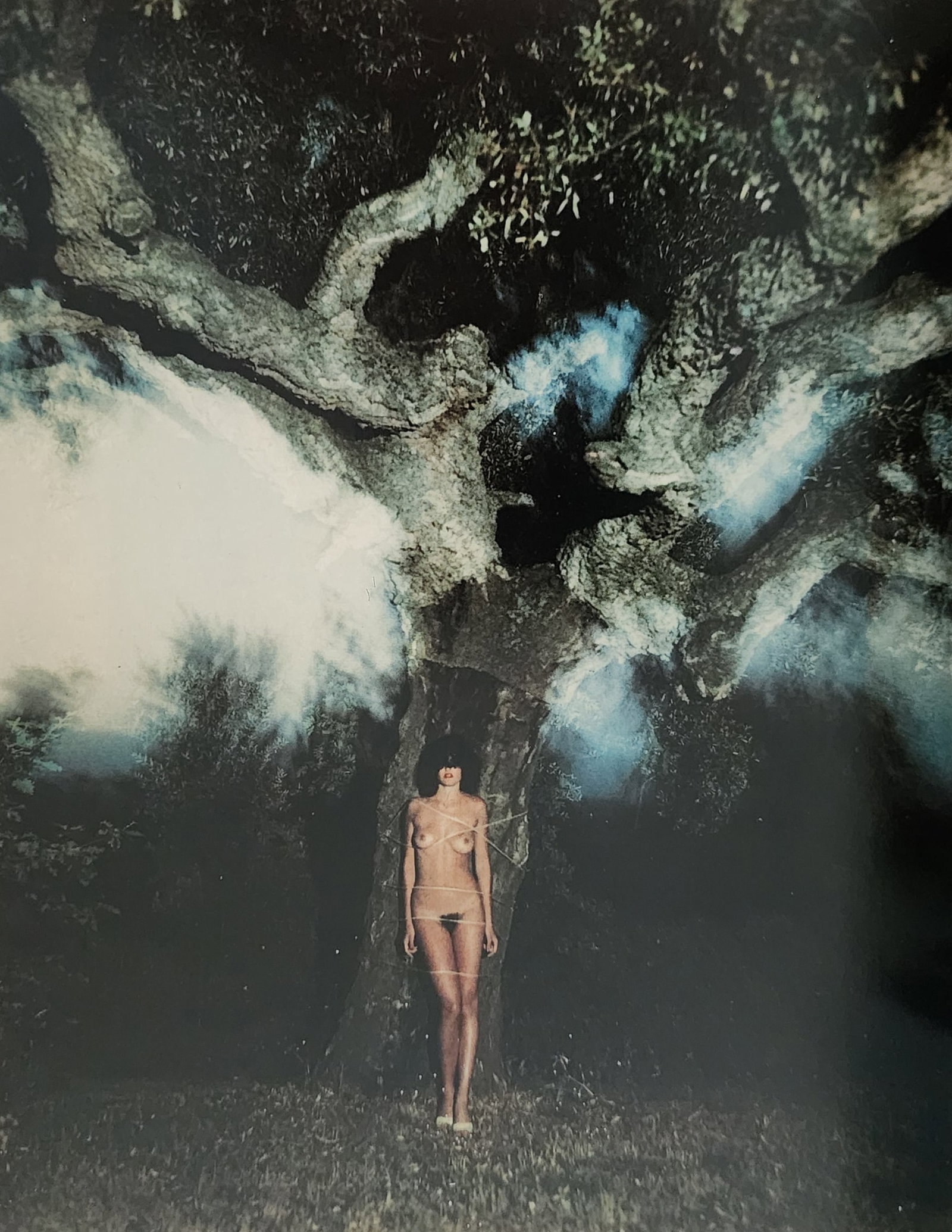 Helmut Newton 'Woman 1995': Photographer: Helmut Newton Title/Subject: Woman Date Of Negative: 1971 - 1991 Type Of Print: Authentic Sheet Fed Photogravure/Heliogravure. Date Of Print: 1995 Paper: Medium weight, satin/matte finis