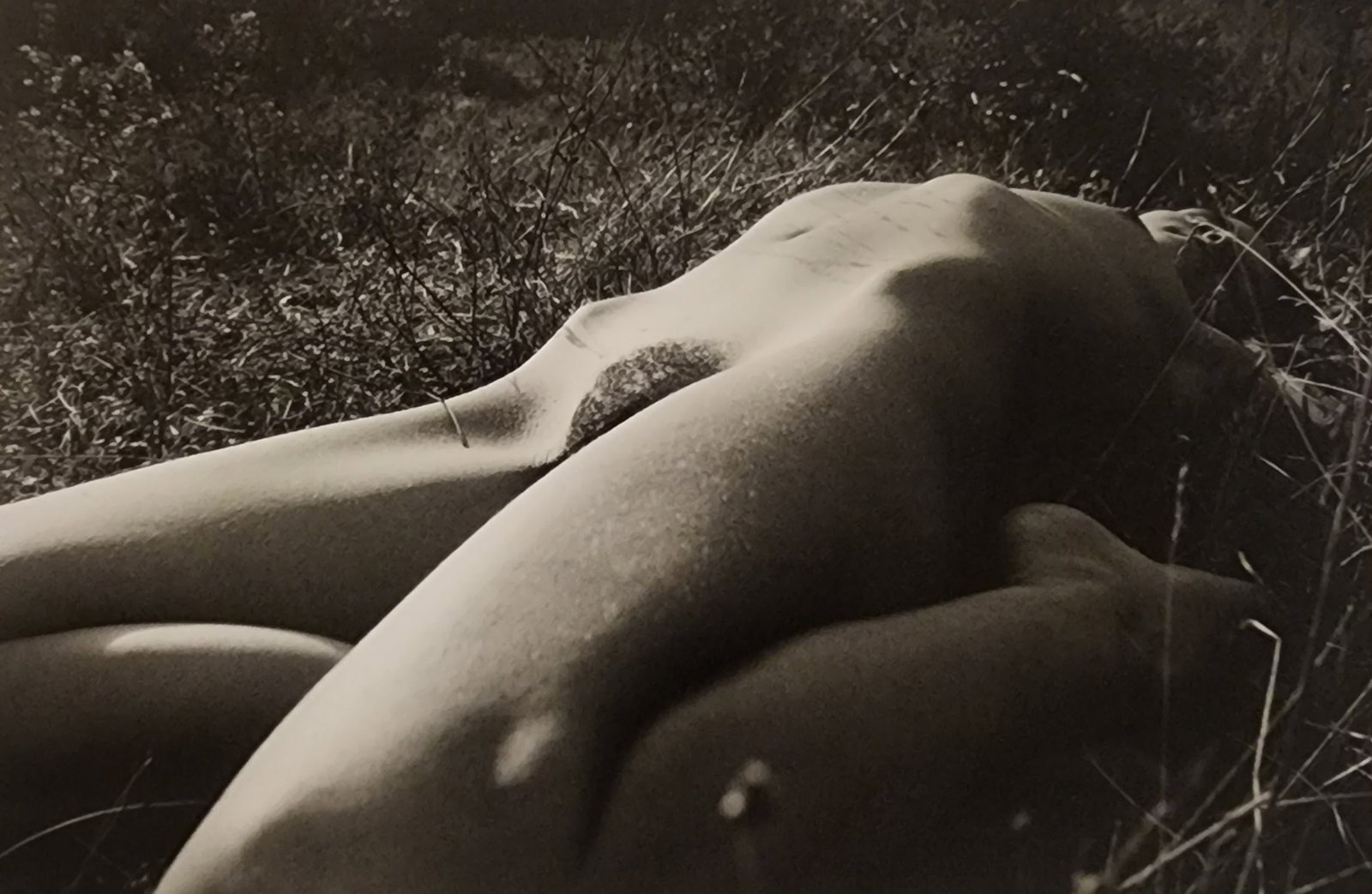 Pascal Baetens 'Heavenly Beauties' (2010): Artist/Photographer: Pascal Baetens Title/Subject: Heavenly Beauties Type Of Print: Authentic Sheet Fed Photogravure/Heliogravure. Date Of Print: 2010 Paper: Medium weight, satin/matte finish. Print O