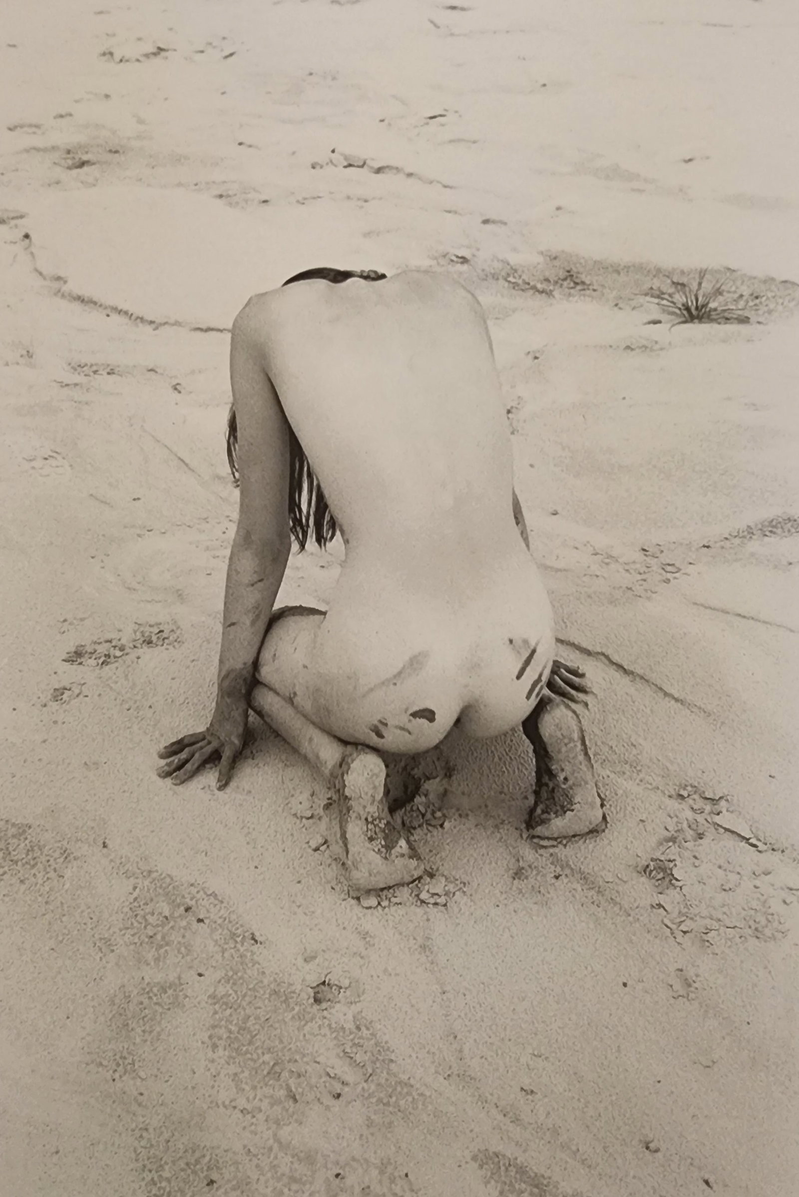 Pascal Baetens 'Heavenly Beauties' (2010): Artist/Photographer: Pascal Baetens Title/Subject: Heavenly Beauties Type Of Print: Authentic Sheet Fed Photogravure/Heliogravure. Date Of Print: 2010 Paper: Medium weight, satin/matte finish. Print O
