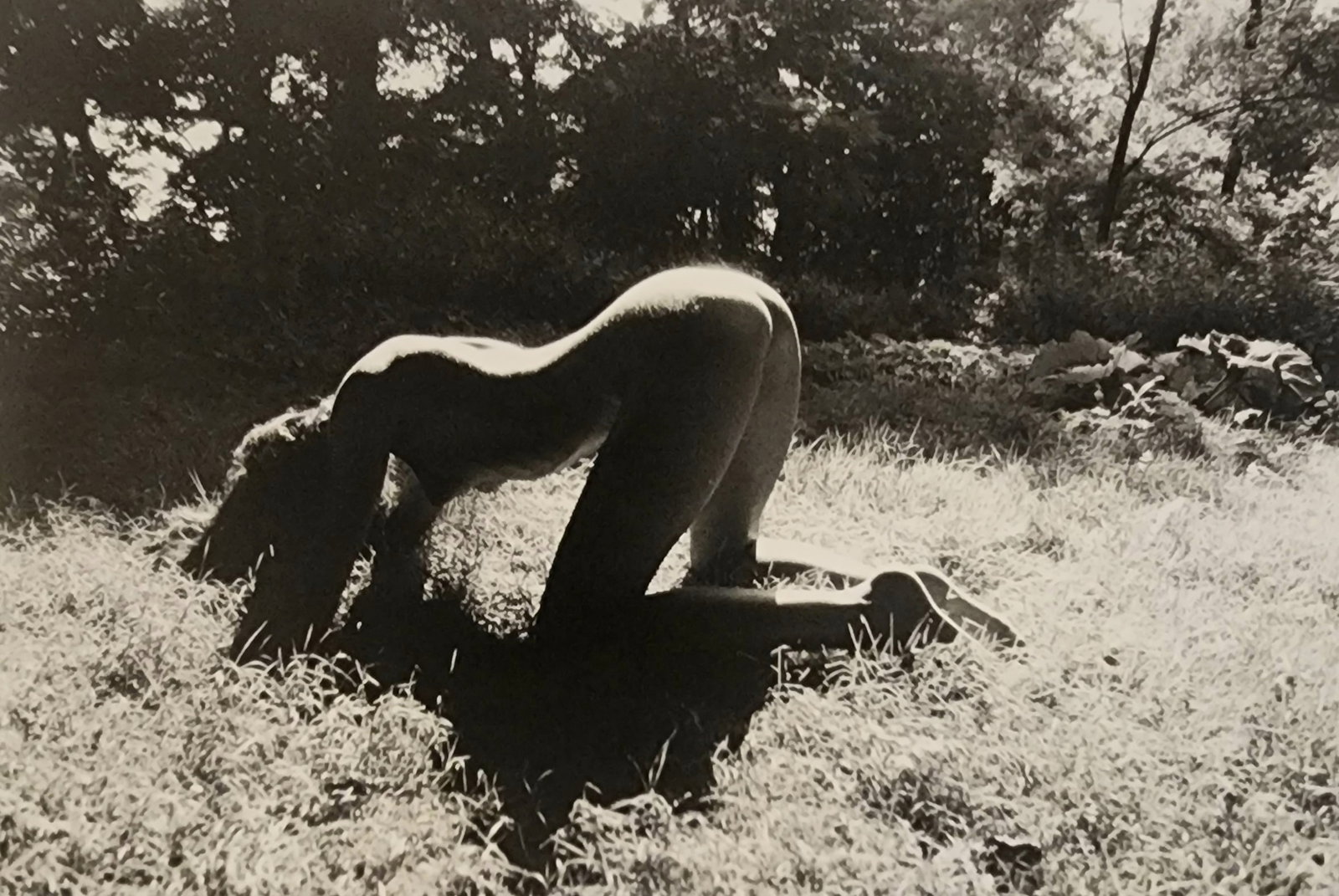 Pascal Baetens 'Heavenly Beauties' (2010): Artist/Photographer: Pascal Baetens Title/Subject: Heavenly Beauties Type Of Print: Authentic Sheet Fed Photogravure/Heliogravure. Date Of Print: 2010 Paper: Medium weight, satin/matte finish. Print O