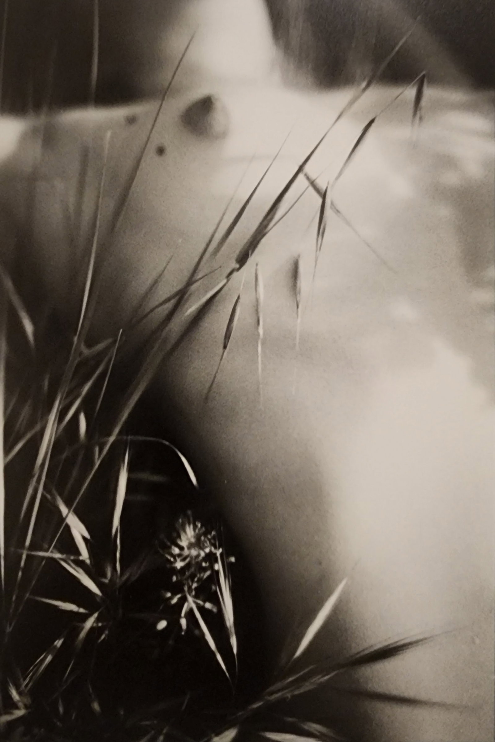 Pascal Baetens 'Heavenly Beauties' (2010): Artist/Photographer: Pascal Baetens Title/Subject: Heavenly Beauties Type Of Print: Authentic Sheet Fed Photogravure/Heliogravure. Date Of Print: 2010 Paper: Medium weight, satin/matte finish. Print O