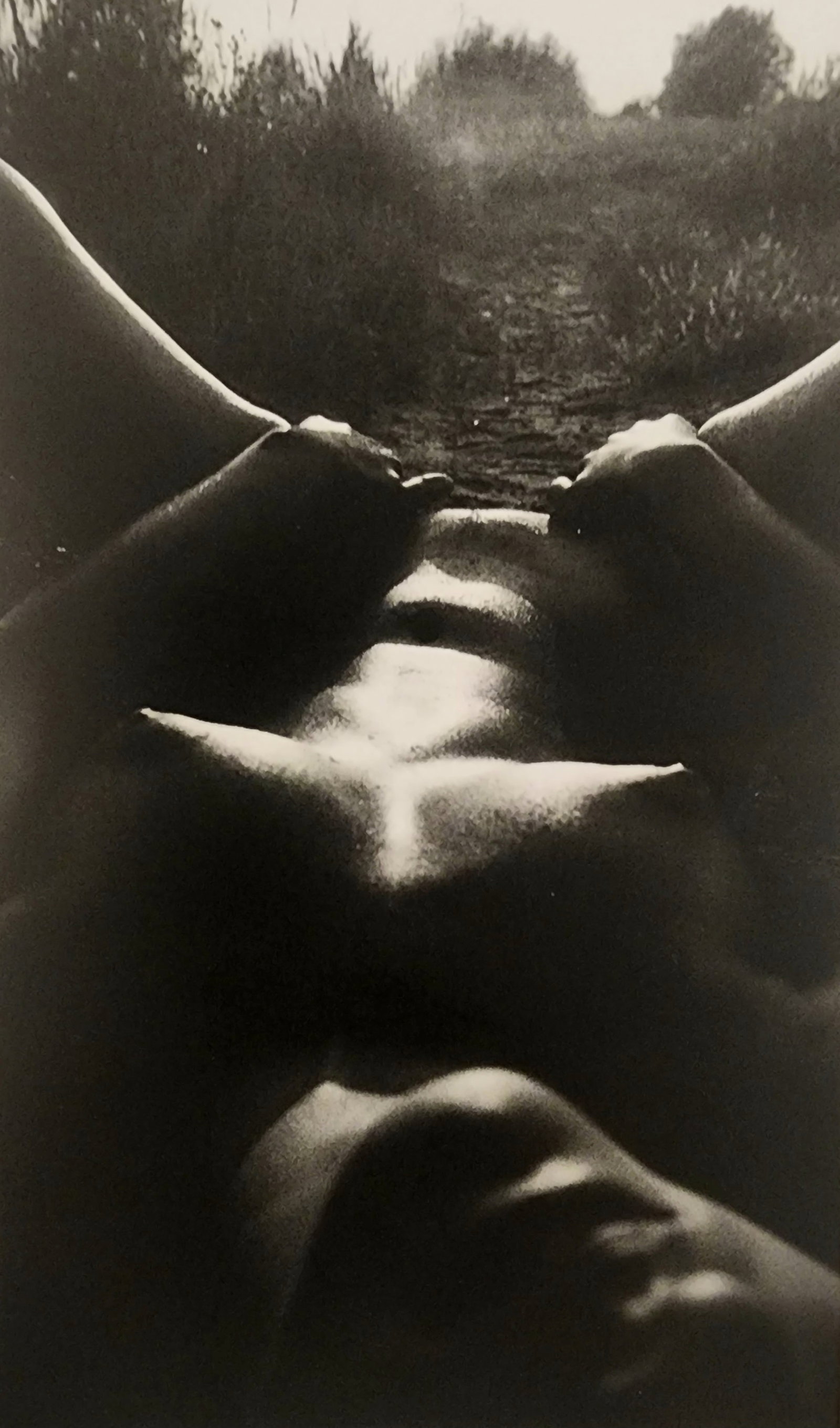 Pascal Baetens 'Heavenly Beauties' (2010): Artist/Photographer: Pascal Baetens Title/Subject: Heavenly Beauties Type Of Print: Authentic Sheet Fed Photogravure/Heliogravure. Date Of Print: 2010 Paper: Medium weight, satin/matte finish. Print O