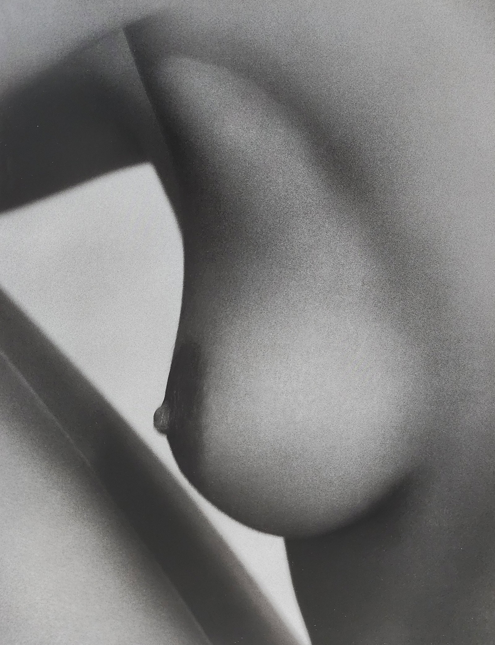 Bruno Bisang, Model Exposure, 2004: Artist/Photographer: Bruno Bisang Title/Subject: Model Exposure Type Of Print: Authentic Sheet Fed Photogravure/Heliogravure. Date Of Print: 2004 Paper: Medium weight, satin/matte finish. Print Origin