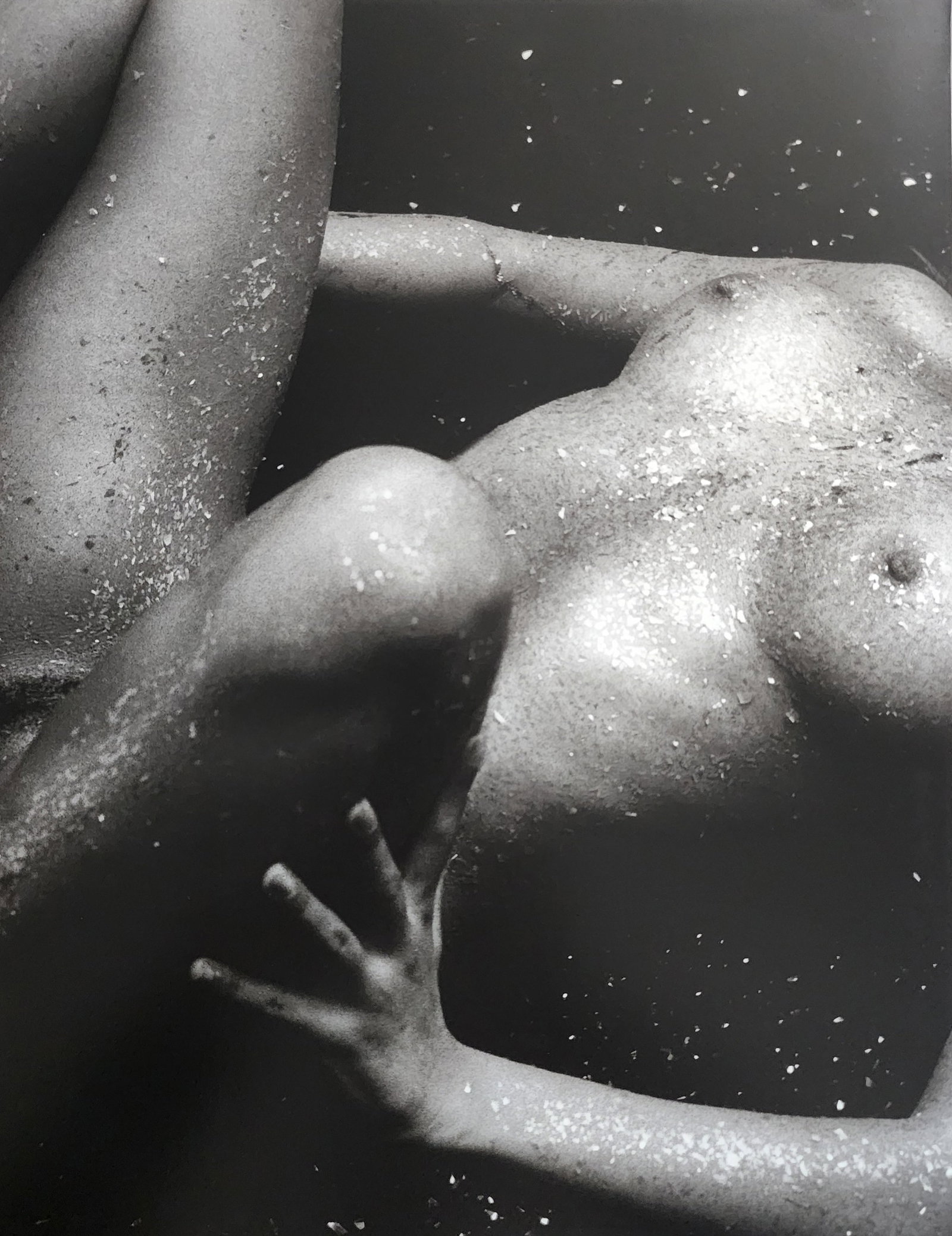 Bruno Bisang, Model Exposure, 2004: Artist/Photographer: Bruno Bisang Title/Subject: Model Exposure Type Of Print: Authentic Sheet Fed Photogravure/Heliogravure. Date Of Print: 2004 Paper: Medium weight, satin/matte finish. Print Origin
