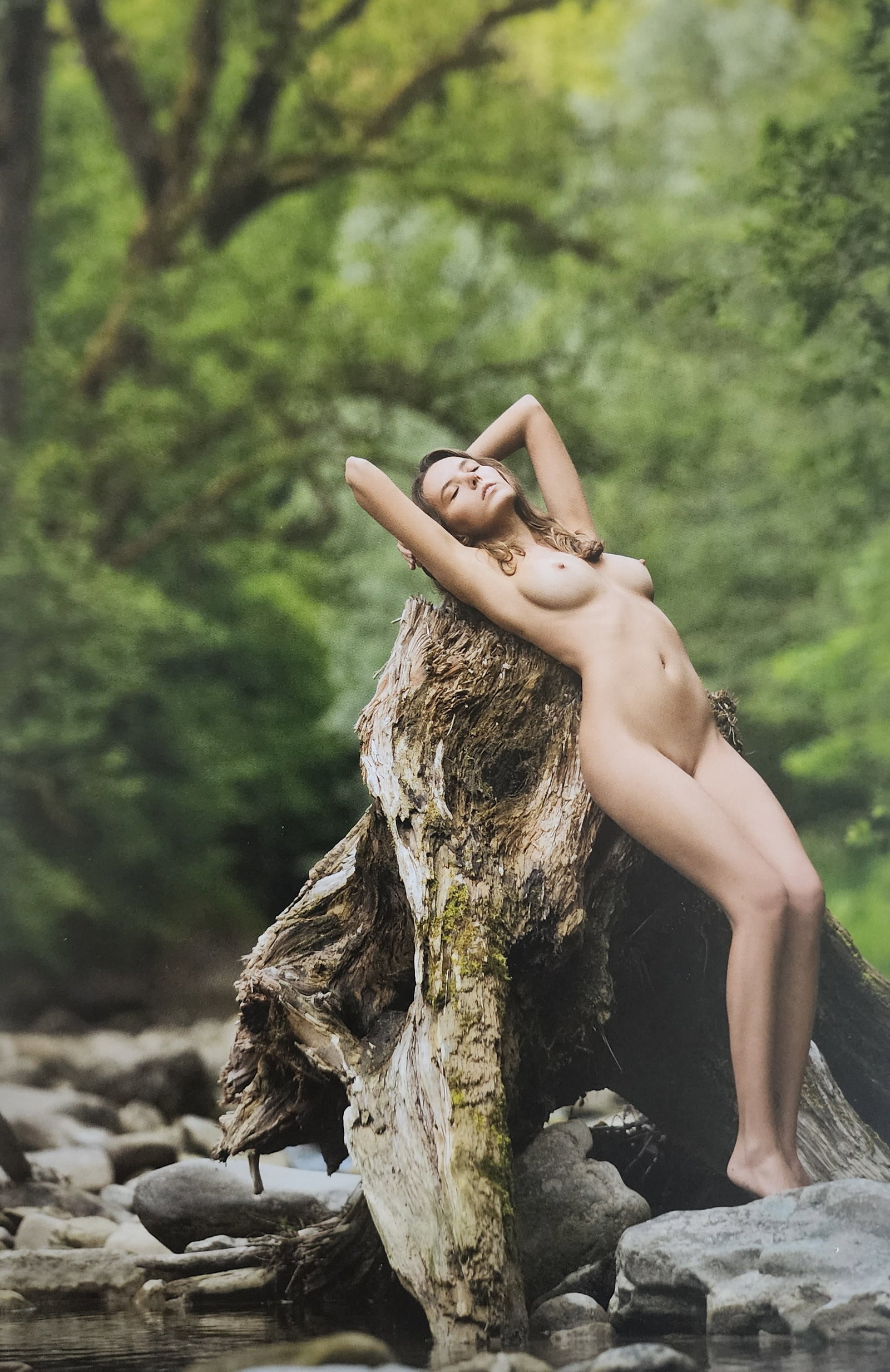 Stefan Soell, Clover, My Favourite Top Models, 2023: Artist/Photographer: Stefan Soell Title/Subject: Clover, My Favourite Top Models Type Of Print: Authentic Sheet Fed Photogravure/Heliogravure. Date Of Print: 2023 Paper: Medium weight, satin/matte fin