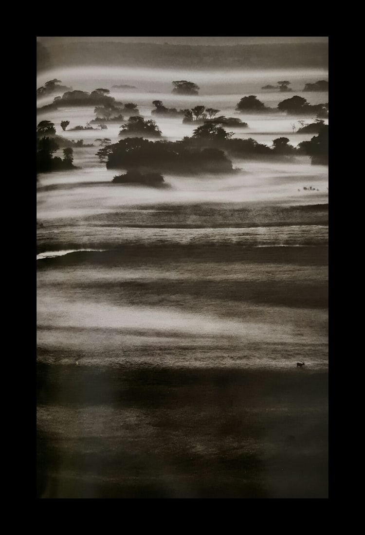 Sebastian Salgado, Chilly night in the Zambian winter, Zambia, 2010 (1 of 1)