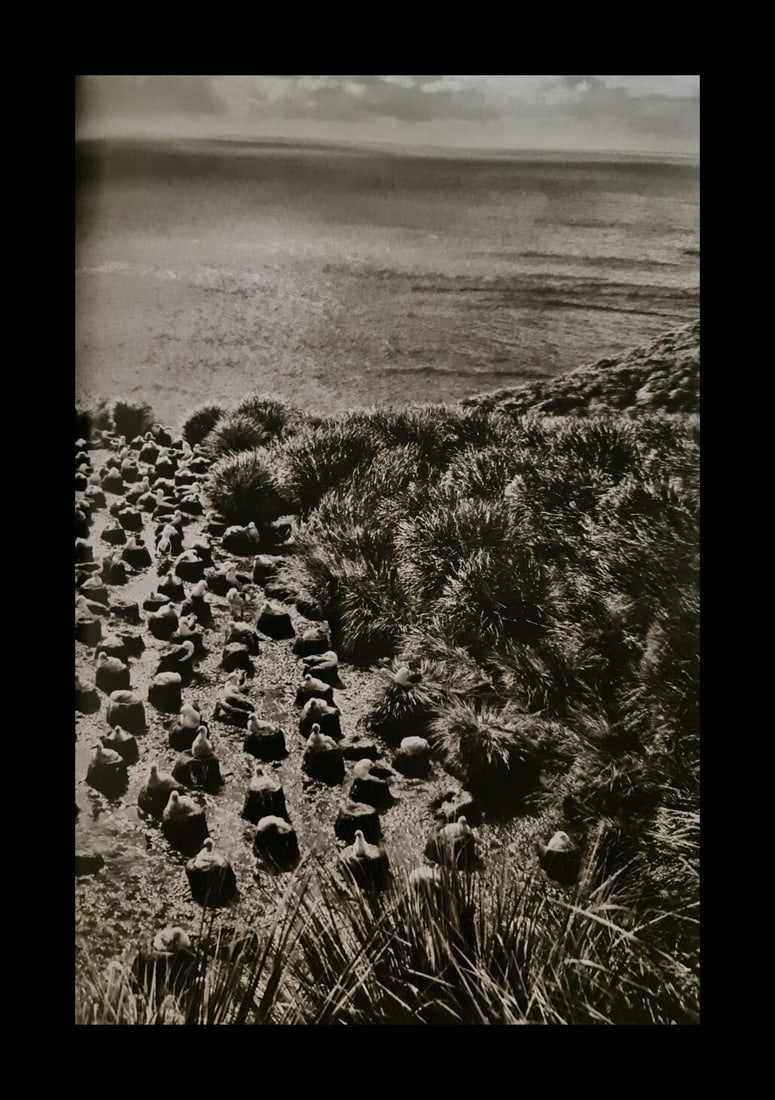 Sebastian Salgado, Diego Ramirez Archipelago, about 10 hours from Cape Horn, 2005 (1 of 1)