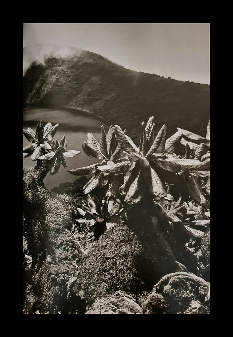 Sebastian Salgado, Giant seneco plants and and crater lake, Rwanda, 2004: Photographer: Sebastiao Ribeiro Salgado Junior is a Brazilian social documentary photographer and photojournalist. He has traveled to over 120 countries for his photographic projects. Most of these