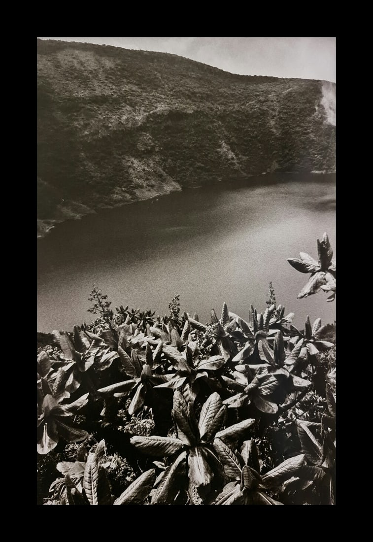 Sebastian Salgado, Giant seneco plants and and crater lake, Rwanda, 2004: Photographer: Sebastiao Ribeiro Salgado Junior is a Brazilian social documentary photographer and photojournalist. He has traveled to over 120 countries for his photographic projects. Most of these