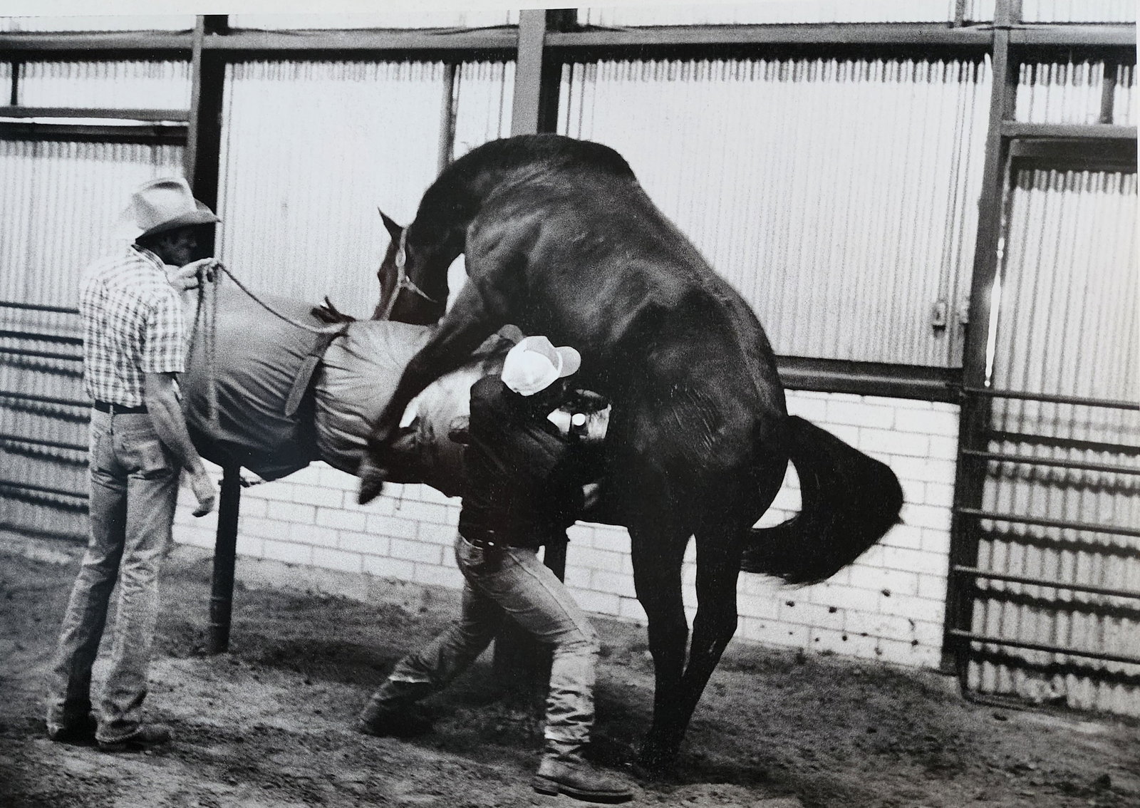 Helmut Newton 'South West Stallion, Elgin, Texas' 1985: Photographer: Helmut Newton (Germany, 1920 - 2004) - best known for his erotically charged highly stylized images, Helmut Newton was one of the most influential fashion photographers of all time. Titl