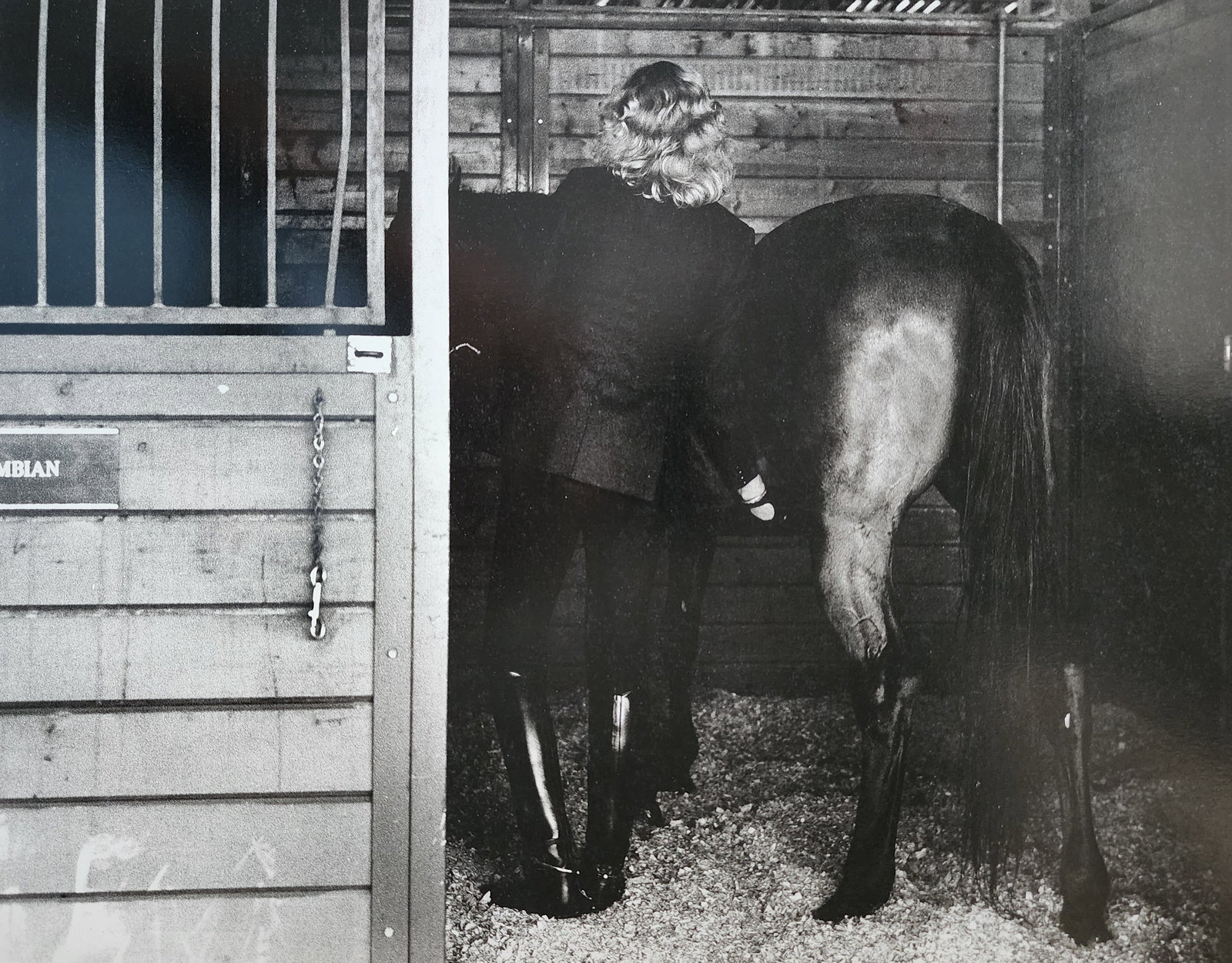 Helmut Newton 'Woman and Horse, Burbank, CA' 1987: Photographer: Helmut Newton (Germany, 1920 - 2004) - best known for his erotically charged highly stylized images, Helmut Newton was one of the most influential fashion photographers of all time. Titl