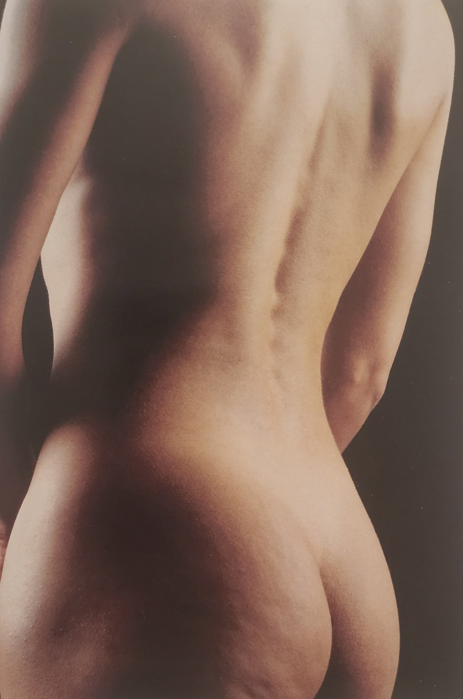 The Art of Nude Female, 1995: Artist/Photographer: Various photogrphersTitle/Subject: The Art of Nude Female Title/Subject: 1995 Type Of Print: Authentic Sheet Fed Photogravure/Heliogravure. Date Of Print: 1995 Paper: Medium