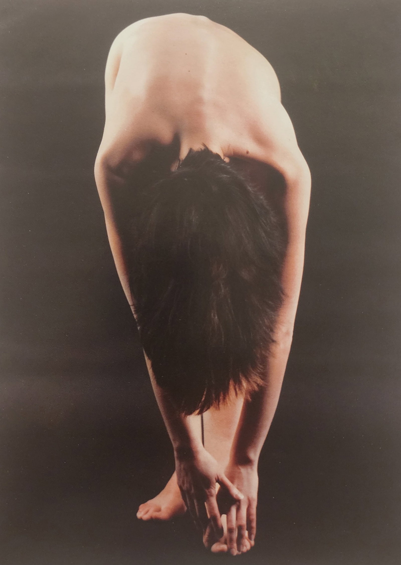 The Art of Nude Female, 1995: Artist/Photographer: Various photogrphersTitle/Subject: The Art of Nude Female Title/Subject: 1995 Type Of Print: Authentic Sheet Fed Photogravure/Heliogravure. Date Of Print: 1995 Paper: Medium