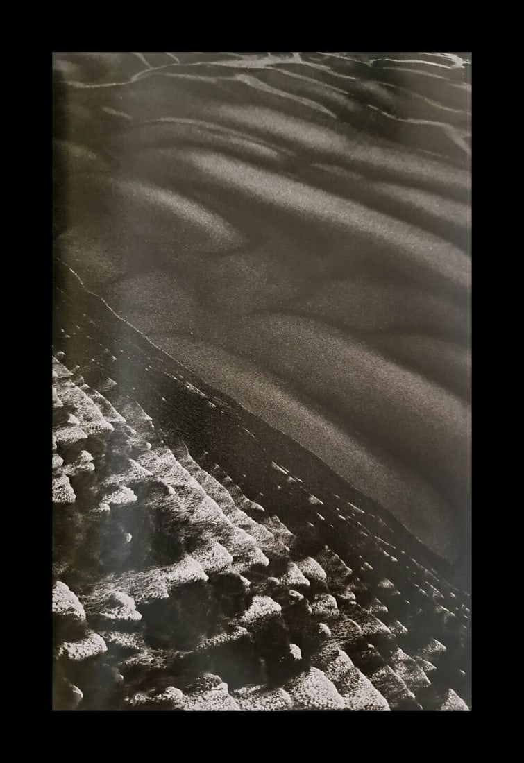 Sebastiao Salgado, Golfo San Jose, Valdez Peninsula, Argentina, 2004 (1 of 1)