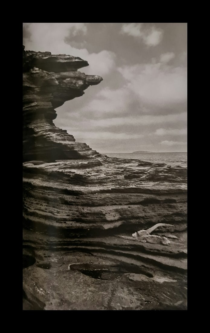 Sebastiao Salgado, Iguanas at Punta Epinoza, Fernandina Island, Galapagos, Ecuador, 2004 (1 of 1)