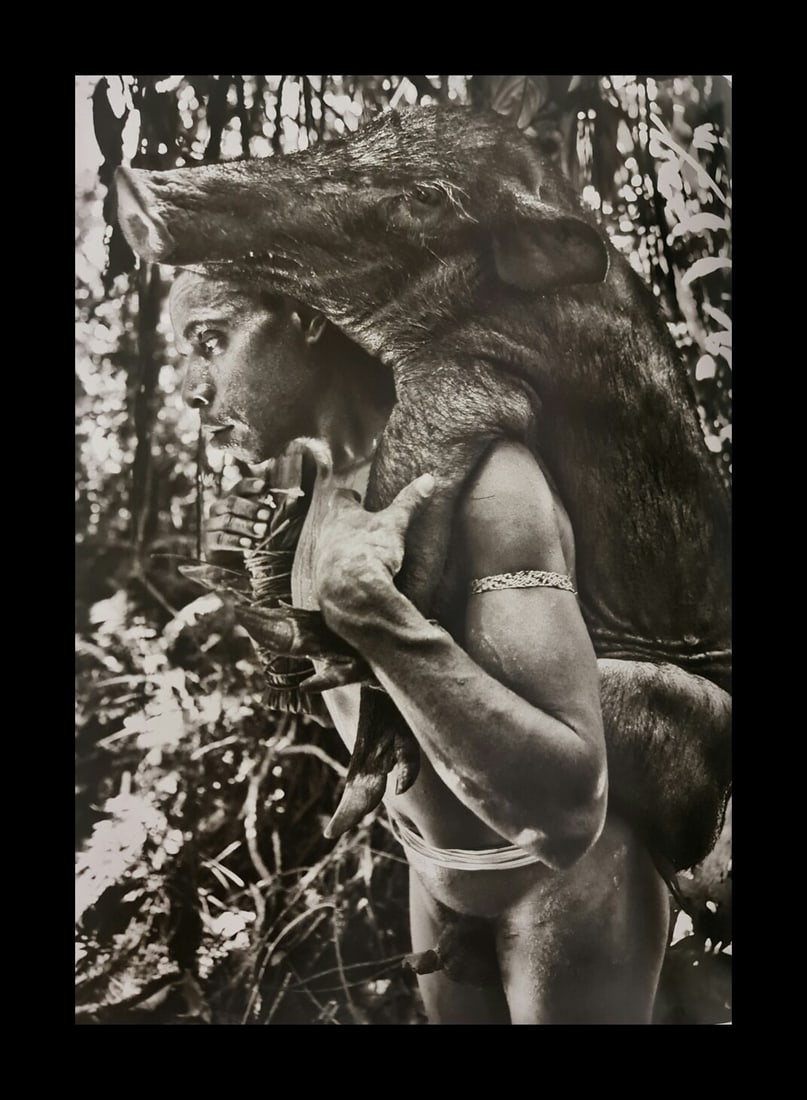 Sebastiao Salgado, Korowai bringing wild pig to the tribe, West Papua, Indonesia, 2010 (1 of 1)