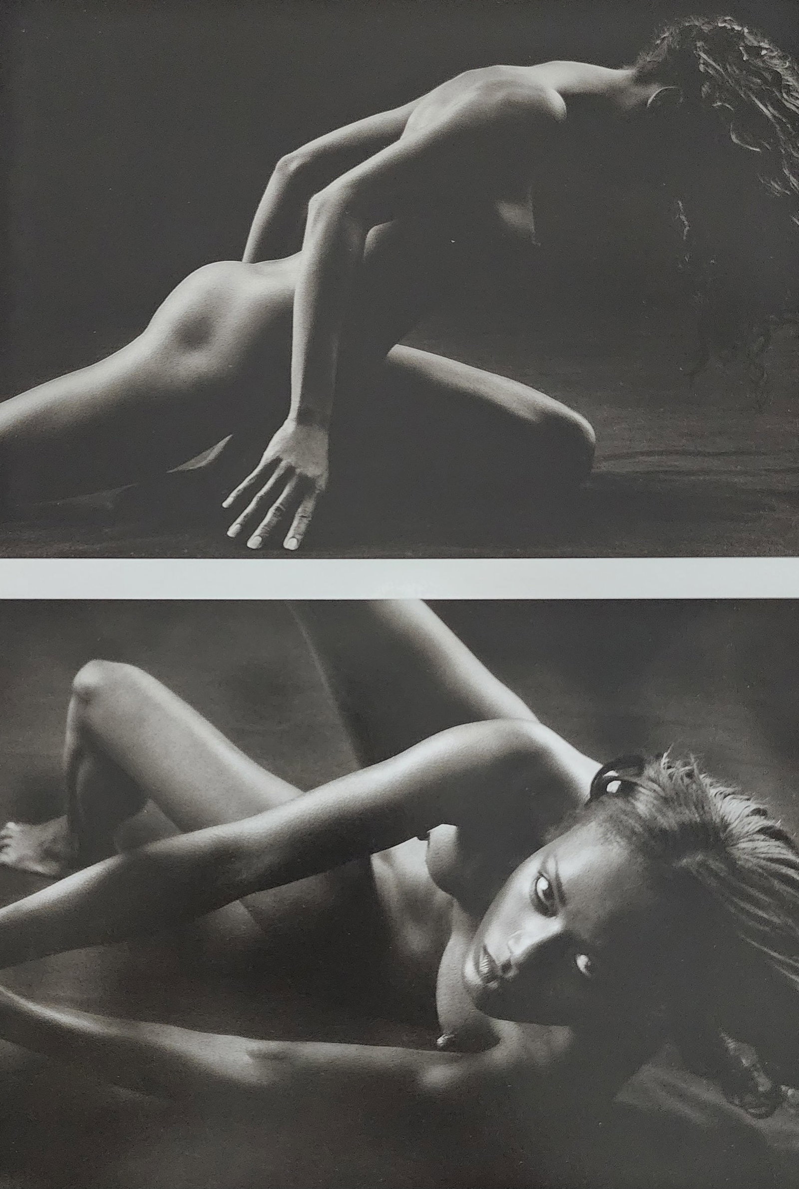 Brono Bisang, Monochrome Nudes, 1999: Artist/Photographer: Brono Bisang Title/Subject: Monochrome Nudes Print Type: Photogravure/Heliogravure. Date Of Print: 1999 Paper: Medium weight, satin/matte finish. Print Origin: Italy Approximate I