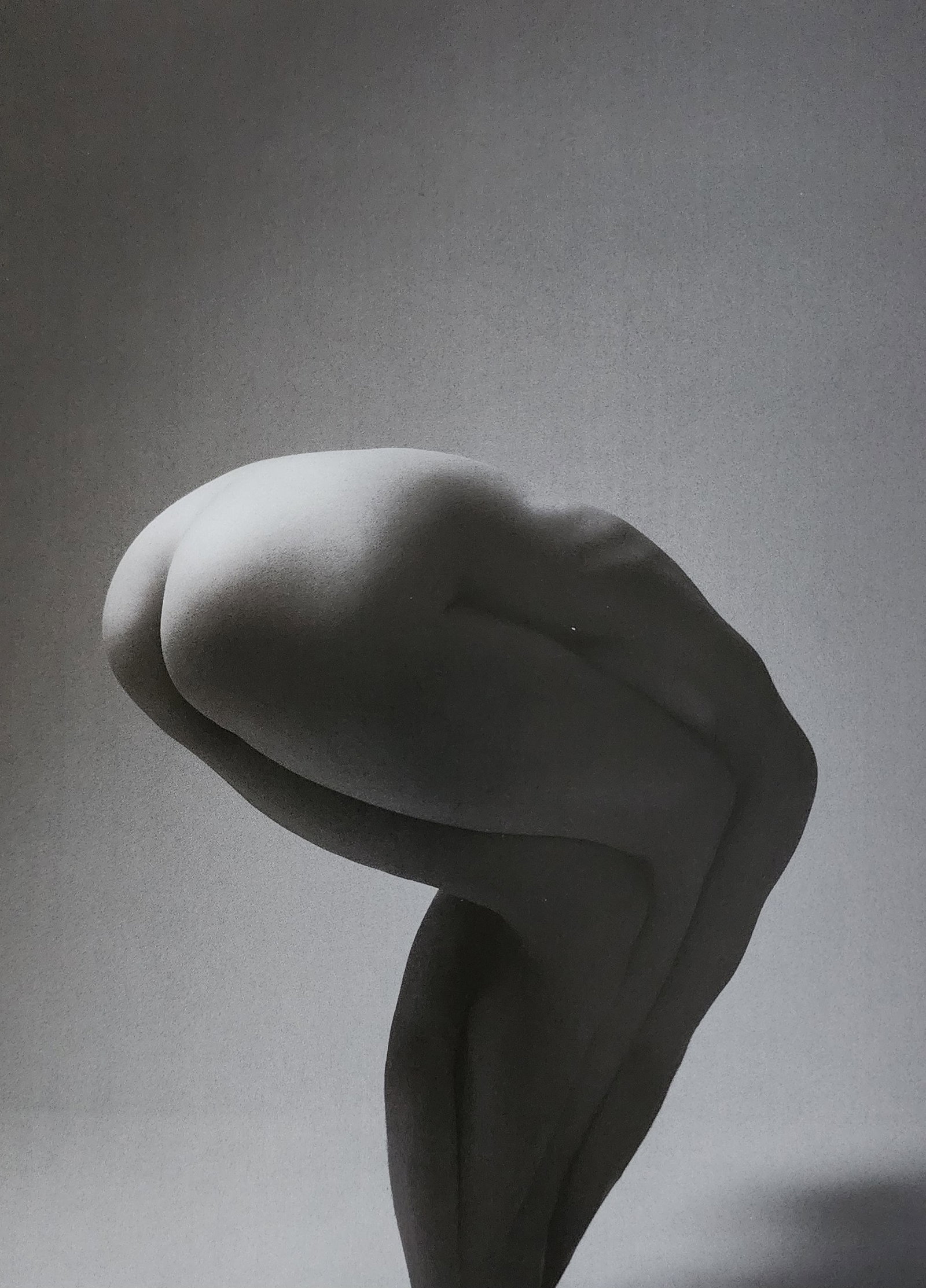 Klaus Kampert, Best nude contemporary, 2019: Artist/Photographer: Klaus Kampert Title/Subject: Best nude contemporary Print Type: Photogravure/Heliogravure. Date Of Print: 2019 Paper: Medium weight, satin/matte finish. Print Origin: China Approx