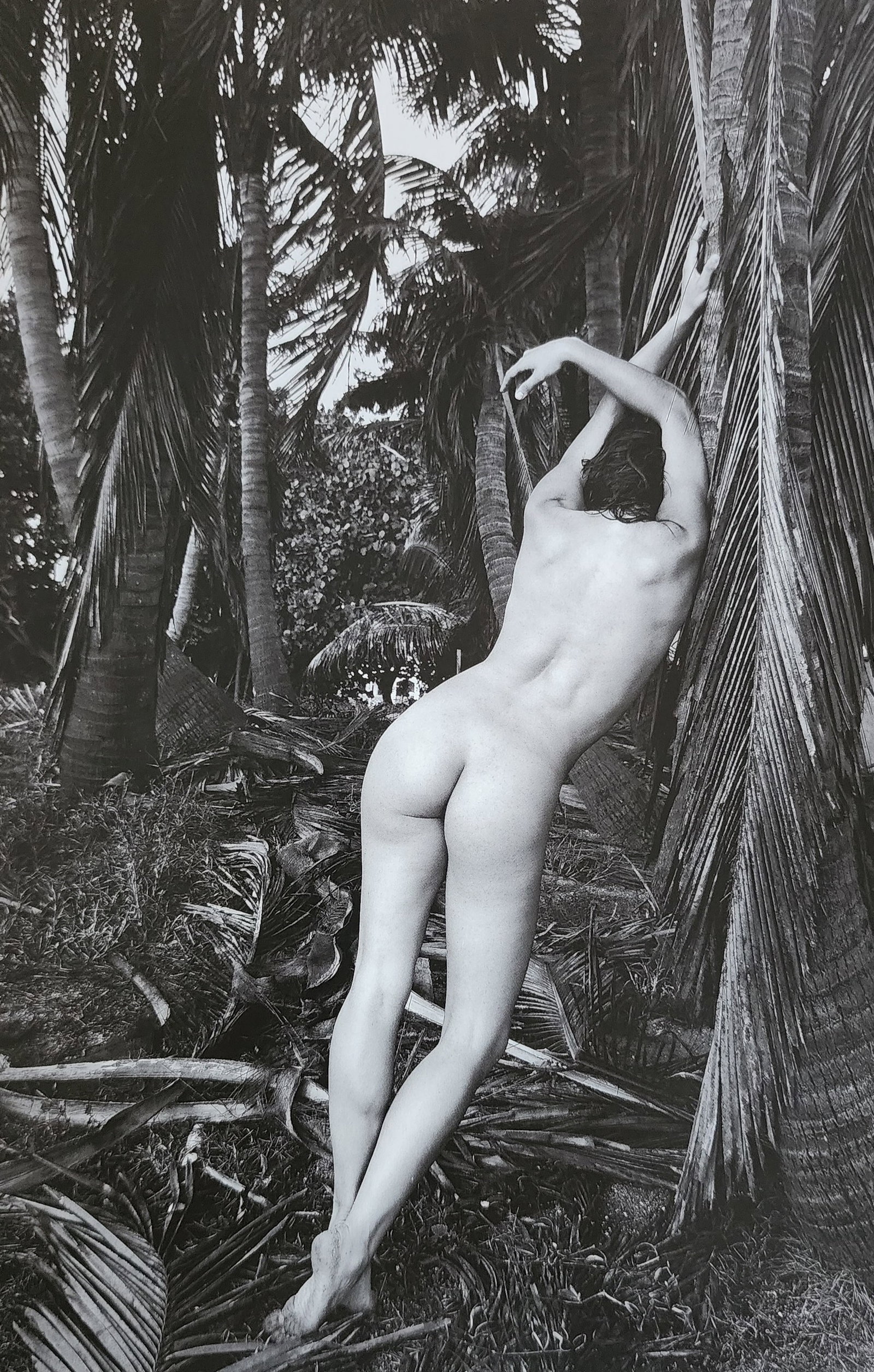 Waldemar Zagorski, Best nude contemporary, 2019: Artist/Photographer: Waldemar Zagorski Title/Subject: Best nude contemporary Print Type: Photogravure/Heliogravure. Date Of Print: 2019 Paper: Medium weight, satin/matte finish. Print Origin: China Ap