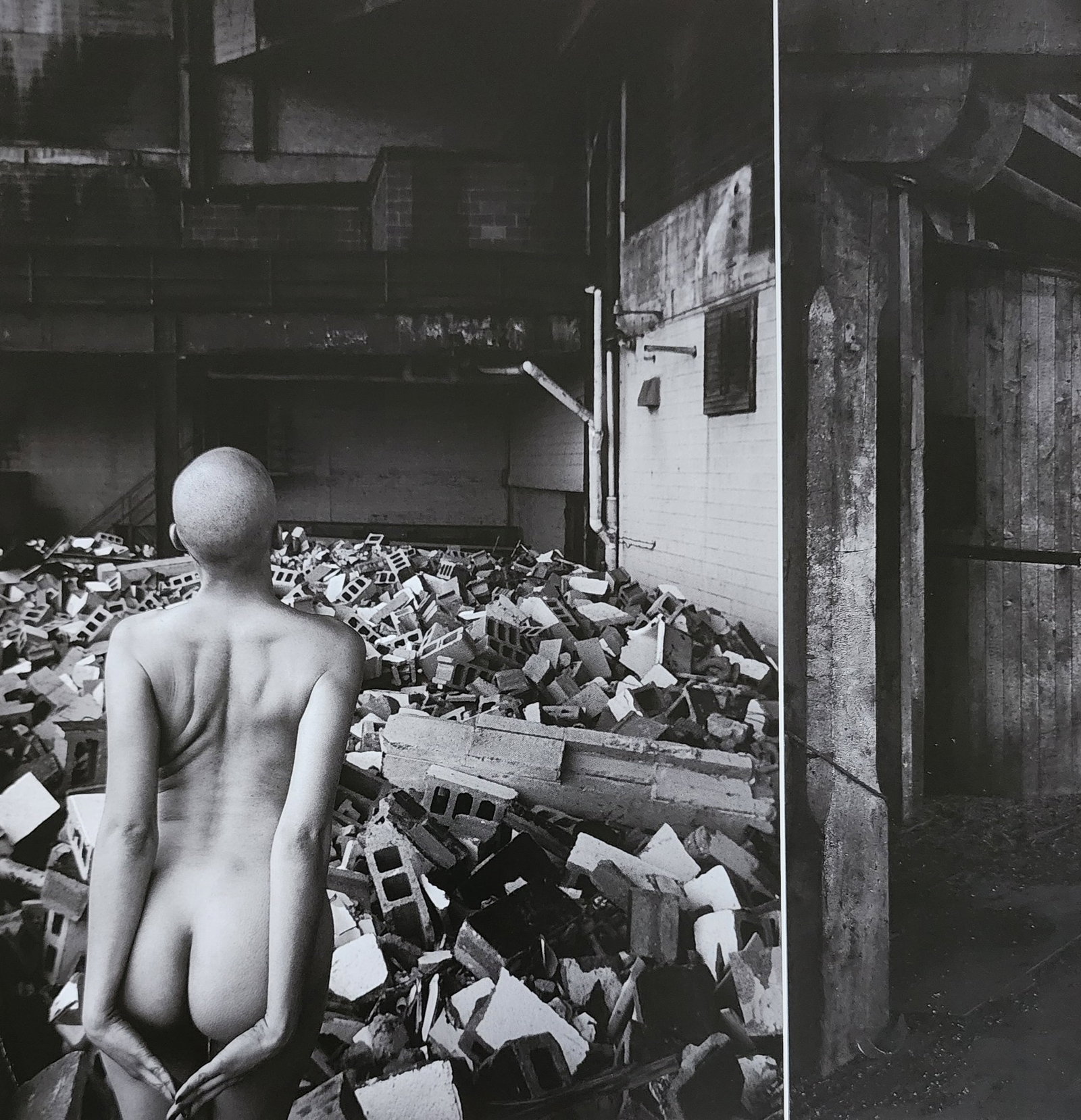 Wolfgang Prummer, Best nude contemporary, 2019: Artist/Photographer: Wolfgang Prummer, Title/Subject: Best nude contemporary Print Type: Photogravure/Heliogravure. Date Of Print: 2019 Paper: Medium weight, satin/matte finish. Print Origin: China Ap
