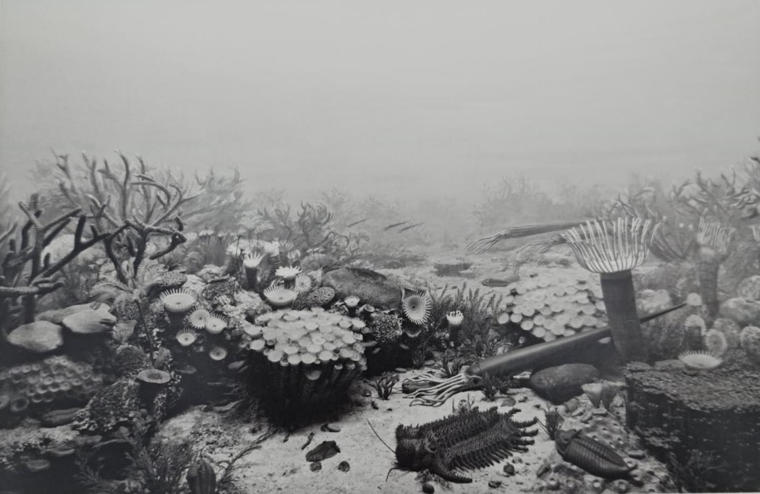 Hiroshi Sugimoto, Denovian Period, 1992: Subject: Hiroshi Sugimoto, Denovian Period, 1992 Type: Sheet-fed Photograuvere Year: 2005 Publisher: Hatje Cantz Verlag Size: 8.5" x 6.5" Country of Origin: Japan Condition: Excellent