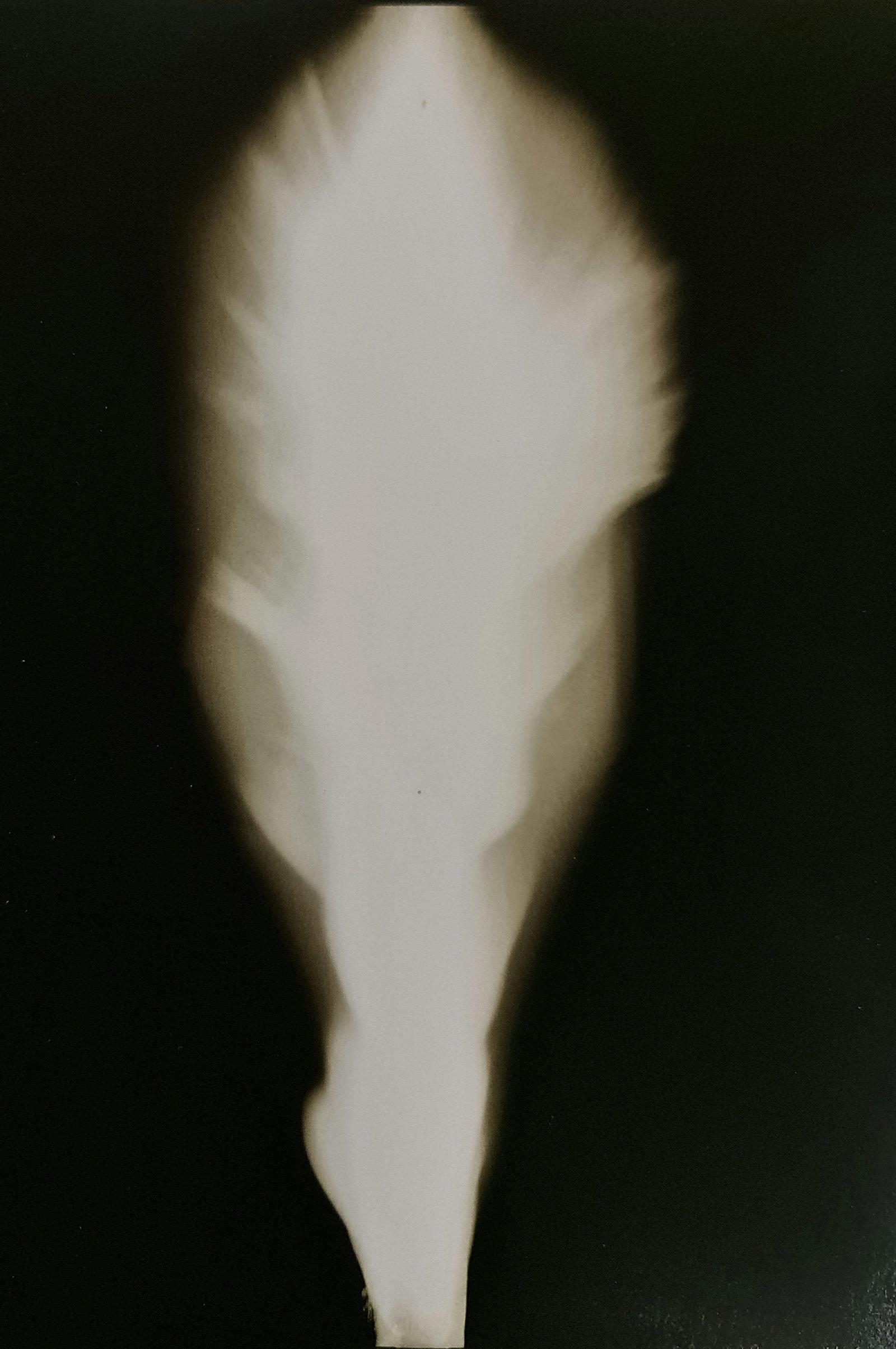 Hiroshi Sugimoto, In Praise of shadows, 980809 (1 of 2)