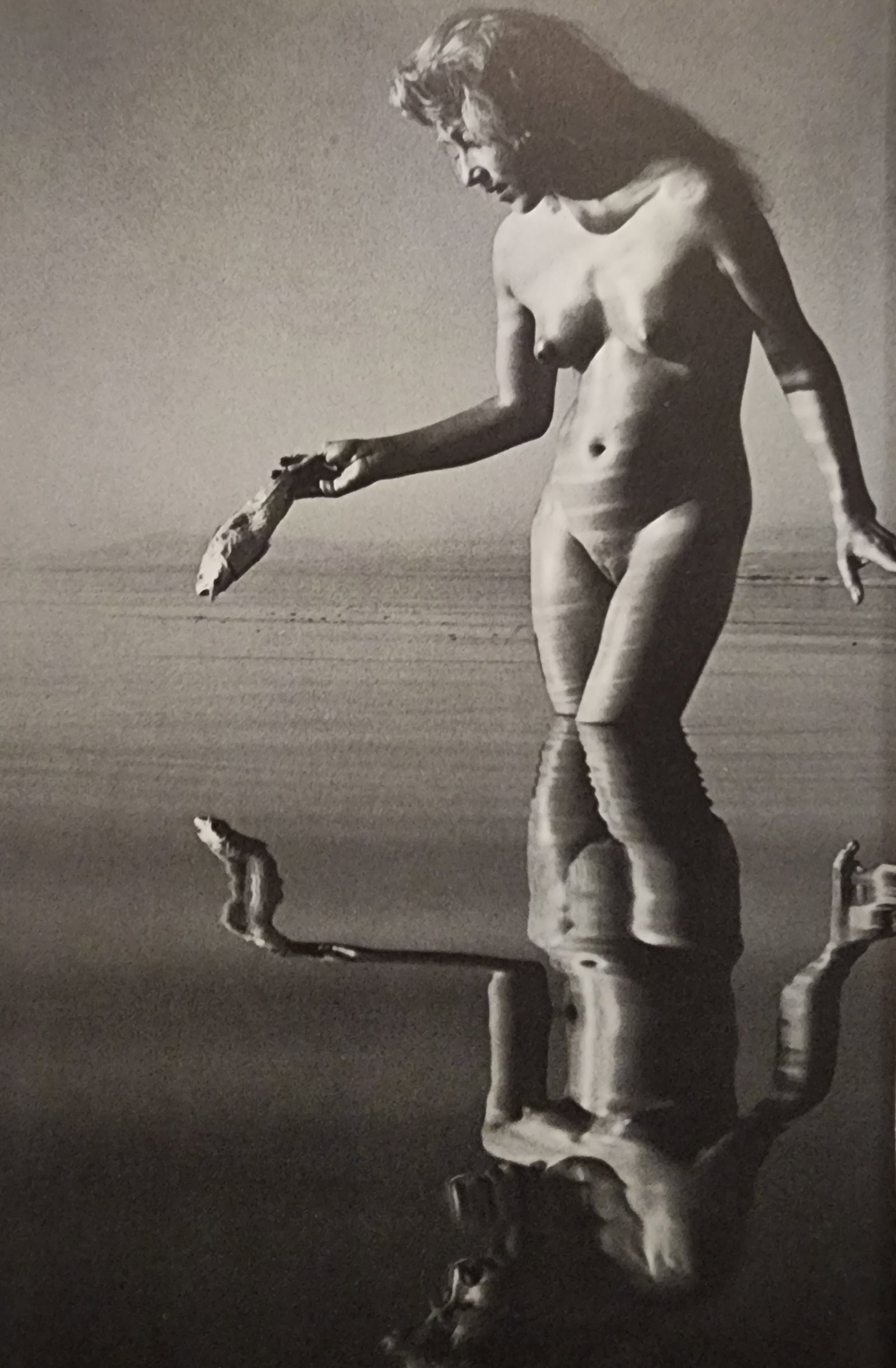 Andre de Dienes , Nudes, 1973 (1 of 1)