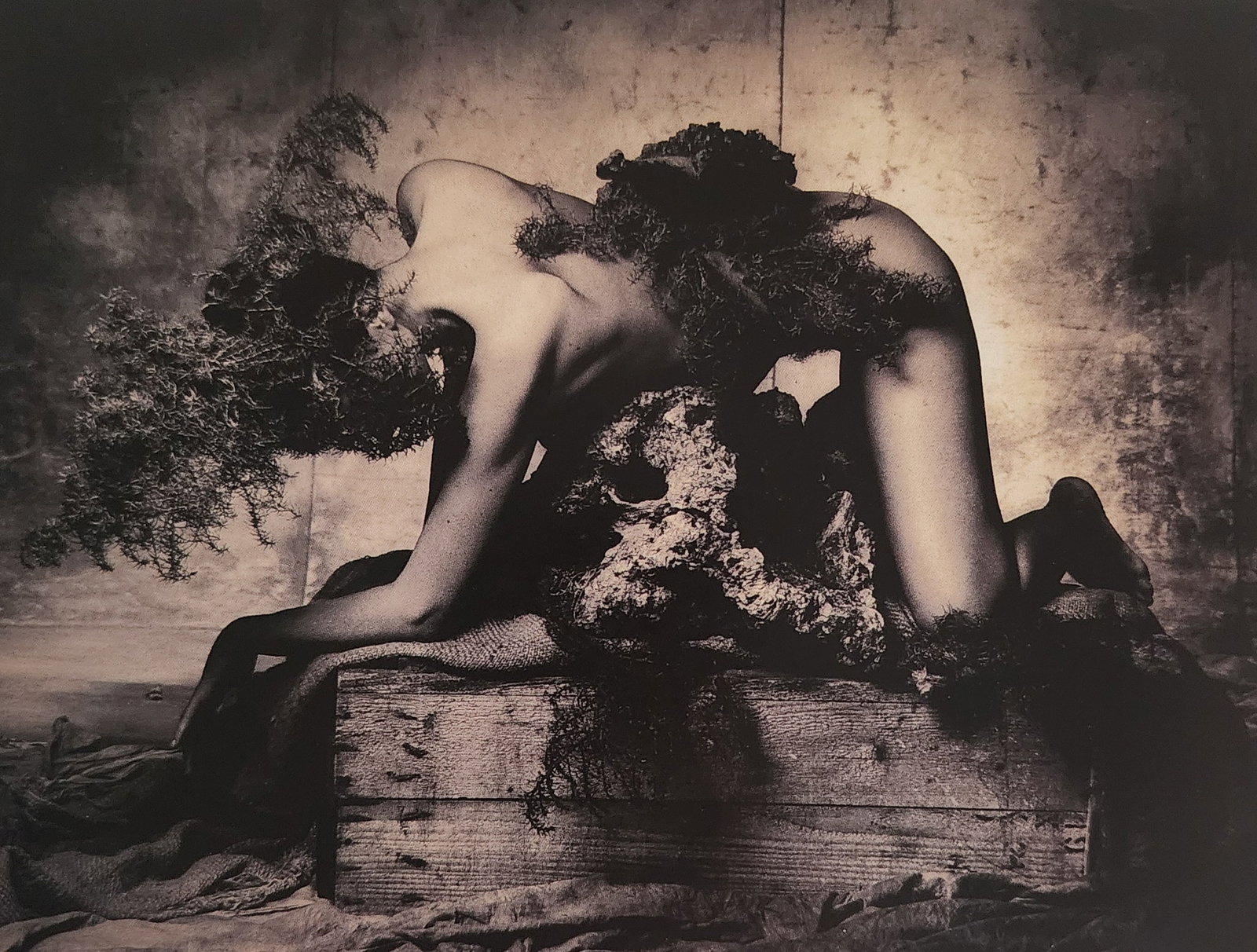 Erotique Masterpiece, 1998: Artist/Photographer: Man Ray, Marconi, Agelou, Y. Park, E. Weston, G. Riebicke, R. Koppitz, Manasse, H.P. Horst, N. Parkinson, Bill Brandt..... Title/Subject: Erotique Masterpiece Type Of Print: Authe