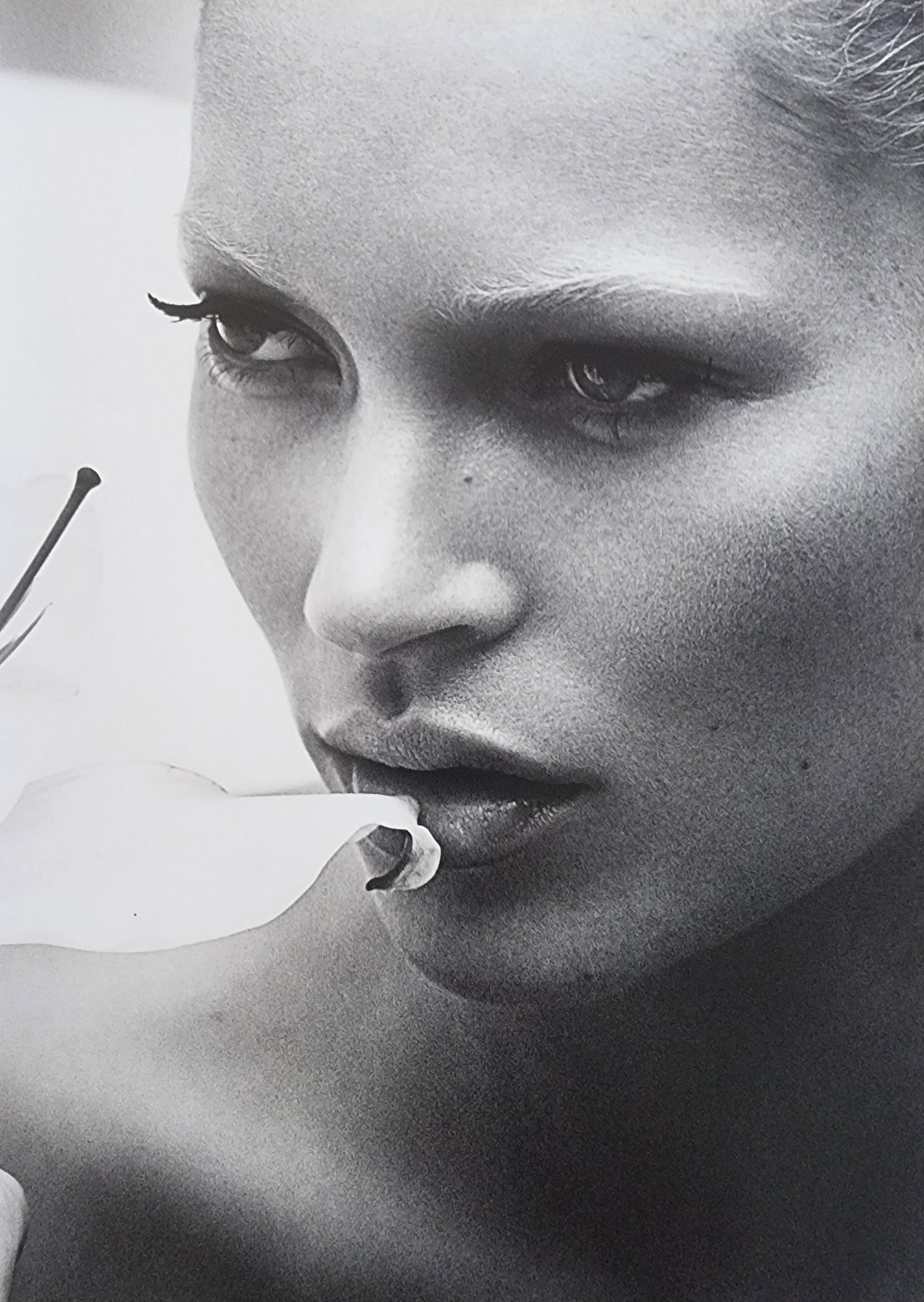 Kate Moss 'Exquisite Beauty' 2012 (1 of 1)