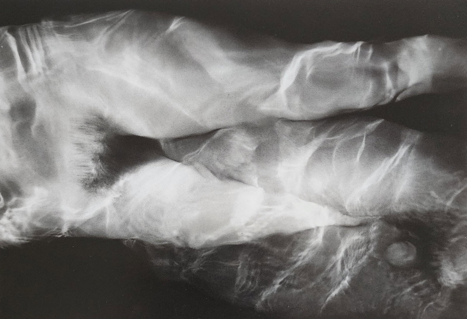 Love Lust Desire, 2001: Artist/Photographer: Various top world Photogrphers Title/Subject: Love Lust Desire Type Of Print: Authentic Sheet Fed Photogravure/Heliogravure. Date Of Print: 2001 Paper: Medium weight, satin/matte 