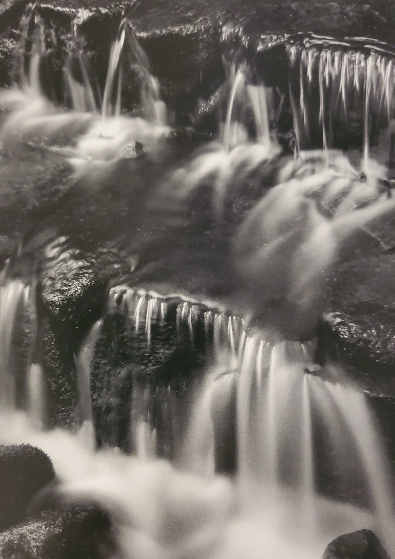 Ansel Adams, Fern Spring, Dusk, Yosemite National Park, California, C. 1961: Photographer: Ansel Adams (American, 1902 - 1984) - Internationally renowned American photographer. One of the most influential artists in photographic history. Title: "Fern Spring, Dusk, Yosemite Nat