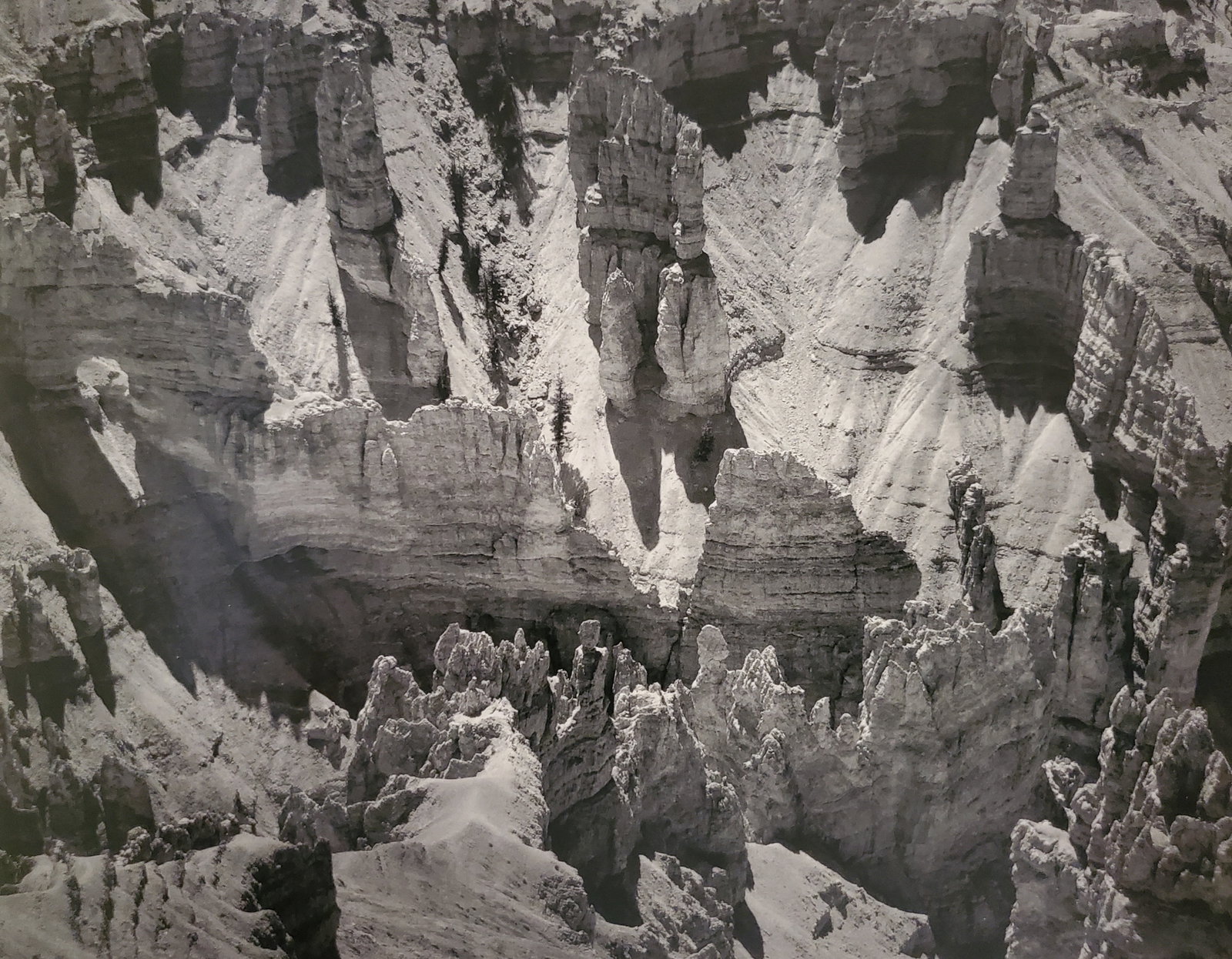 Ansel Adams, In Cedar Breaks National Monument, Utah, 1947: Photographer: Ansel Adams (American, 1902 - 1984) - Internationally renowned American photographer. One of the most influential artists in photographic history. Title: "In Cedar Breaks National Monume