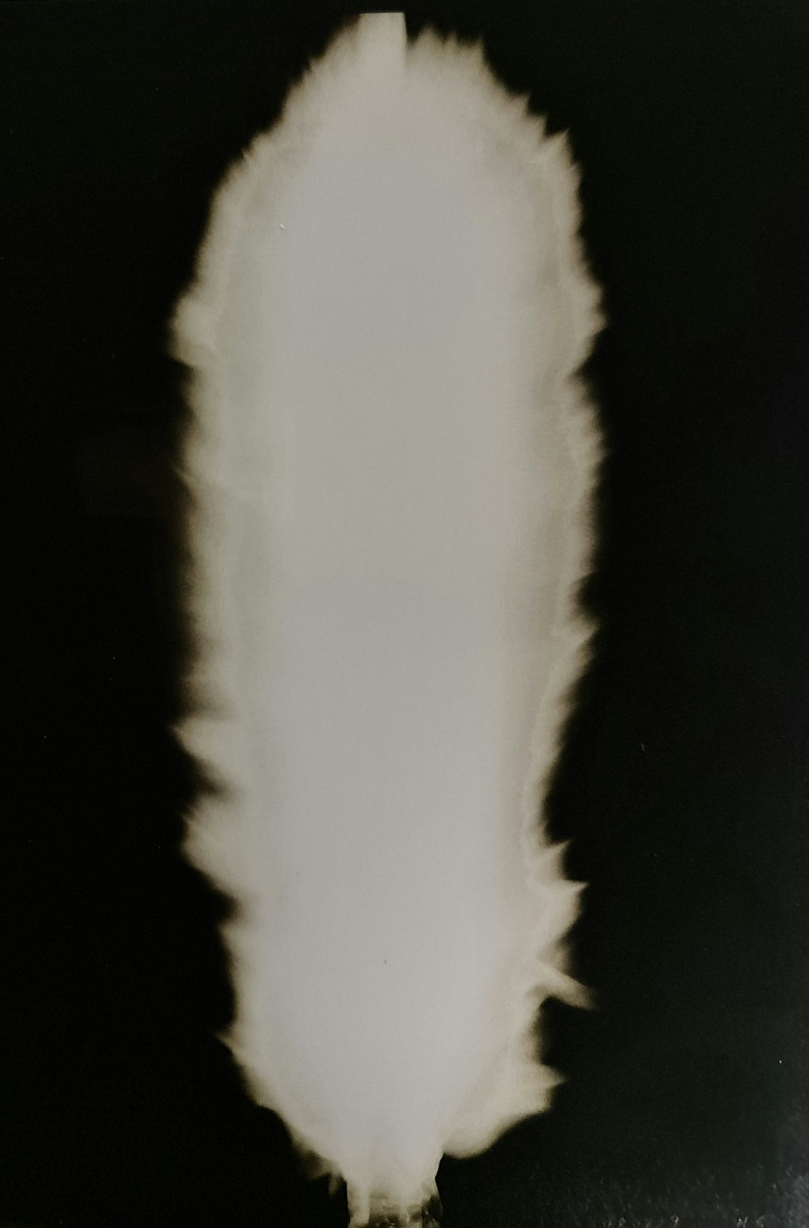 Hiroshi Sugimoto, In Praise of shadows, 980729: Artist Name: Hiroshi Sugimoto Size: 8.5 X 6 Type:First Edition. Print Year:1999 Printer: Korinsha Press Domesticating fire marks humankind's ascendancy over other species. For tens of thousands of
