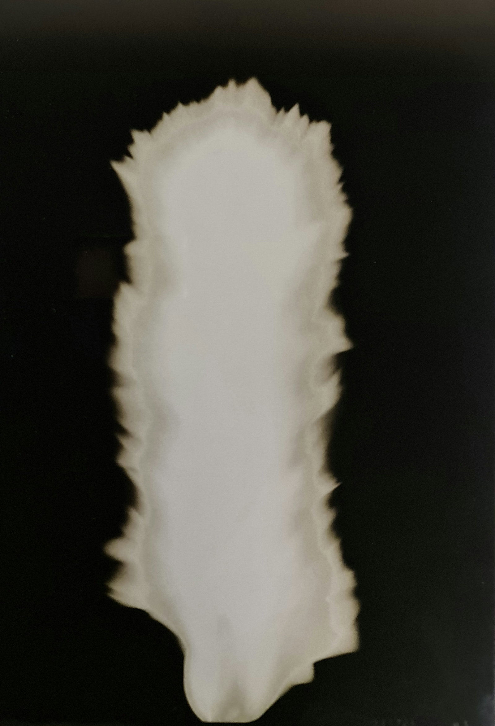 Hiroshi Sugimoto, In Praise of shadows, 980726: Artist Name: Hiroshi Sugimoto Size: 8.5 X 6 Type:First Edition. Print Year:1999 Printer: Korinsha Press Domesticating fire marks humankind's ascendancy over other species. For tens of thousands of