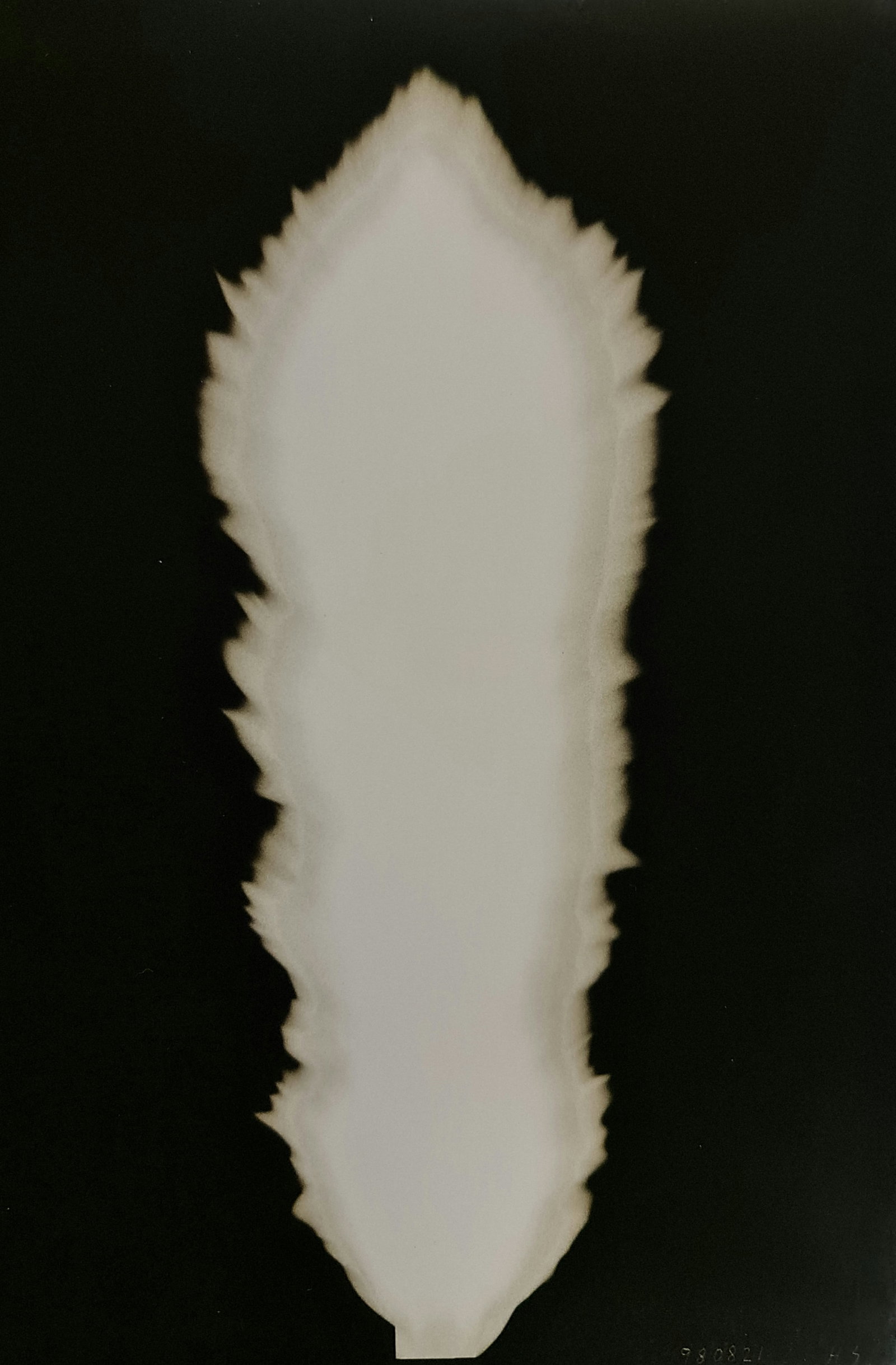 Hiroshi Sugimoto, In Praise of shadows, 980821: Artist Name: Hiroshi Sugimoto Size: 8.5 X 6 Type:First Edition. Print Year:1999 Printer: Korinsha Press Domesticating fire marks humankind's ascendancy over other species. For tens of thousands of