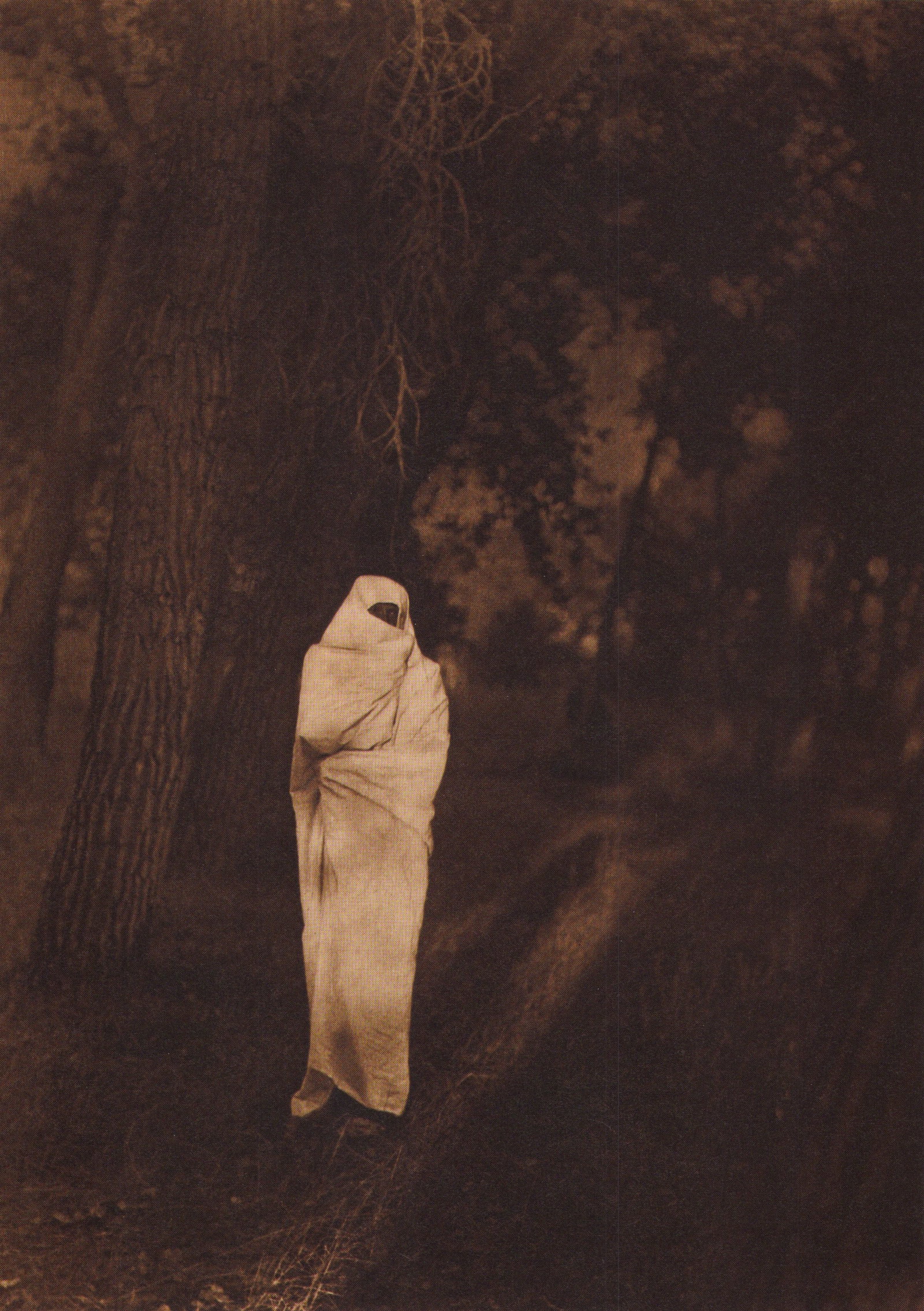 Edward S. Curtis, PLATE 7 Waiting in the Forest Cheyenne, 1910 (1 of 1)
