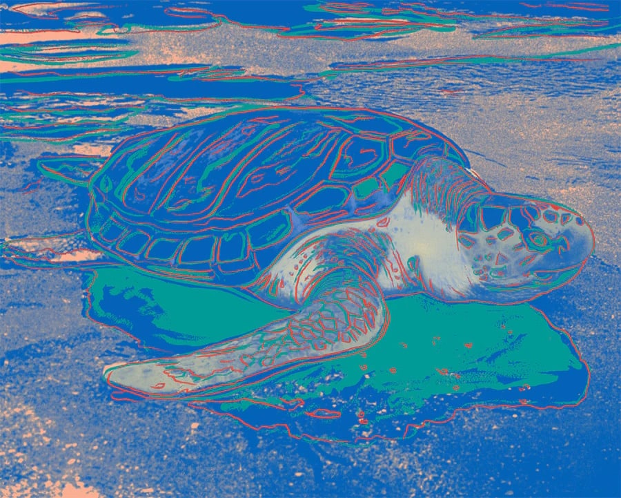 Andy Warhol (After) "Turtle" Silkscreen 1985 (1 of 1)