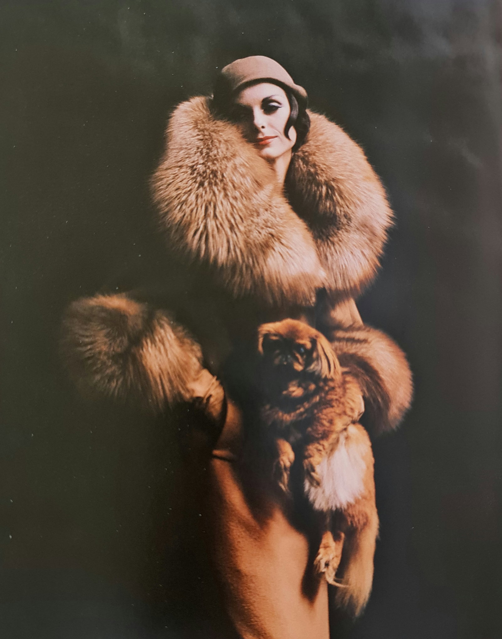 Melvin Sokolski, Ann Saint Marie Dog, 1959: Photographer: Melvin Sokolsky, (October 9, 1933 ? August 29, 2022) was an American photographer and film director. His fantastical and occasionally surreal work brought an experimental energy to Harpe