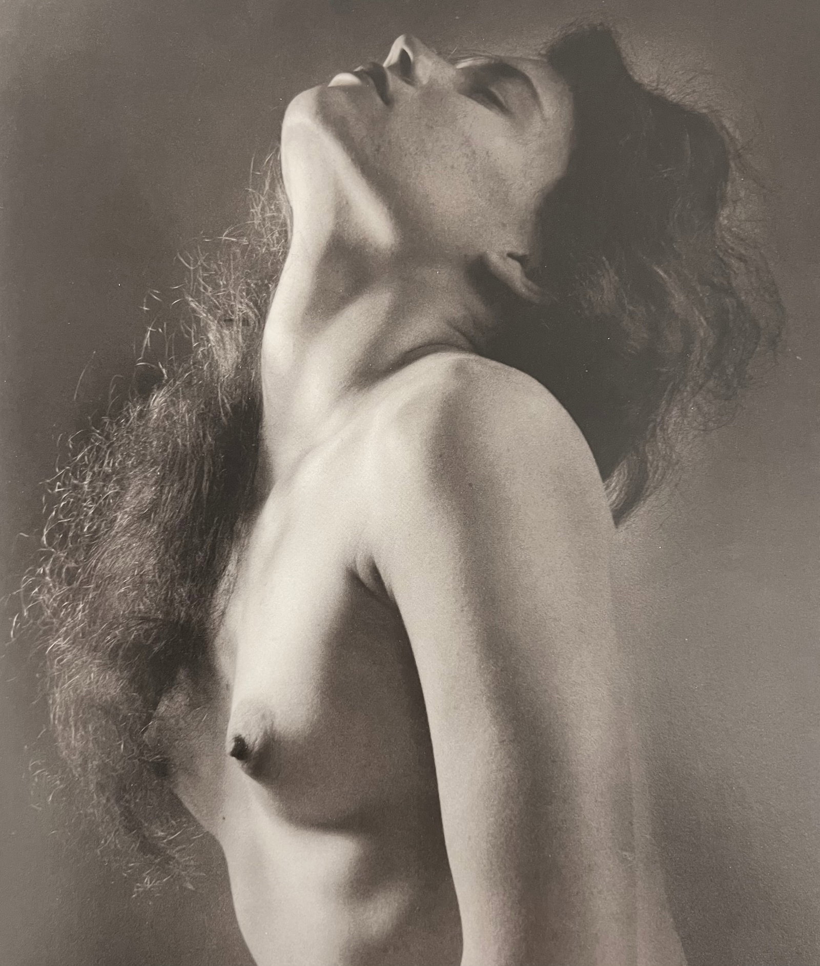 Ruth Bernhard, Neck Study, 1958: Ruth Bernhard (1905-2006) was the daughter of Lucien Bernhard, a graphic designer known as "the father of the German poster." After studying for two years at the Berlin Academy of Art, she came to